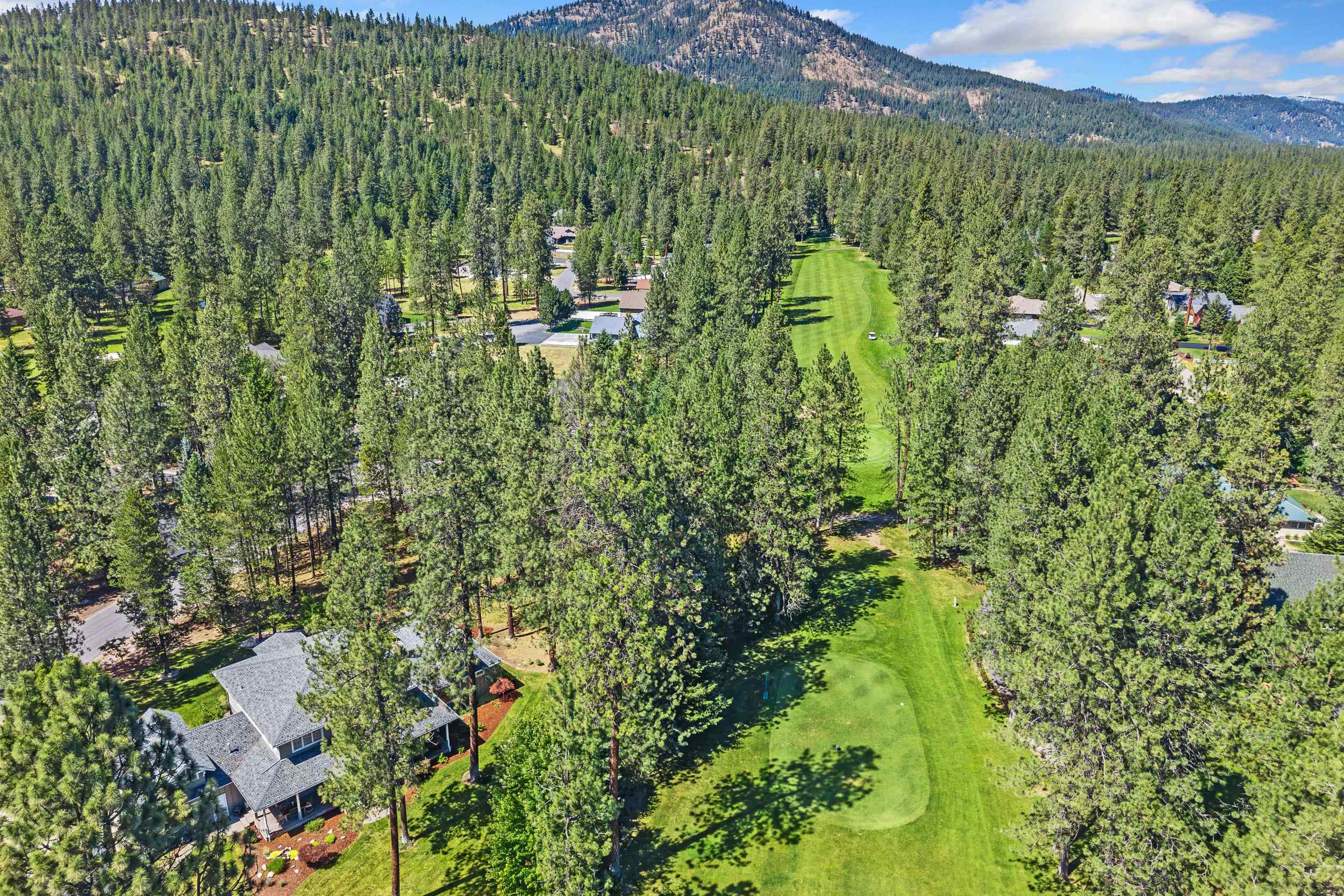 407 Hogans Way - Photo 7