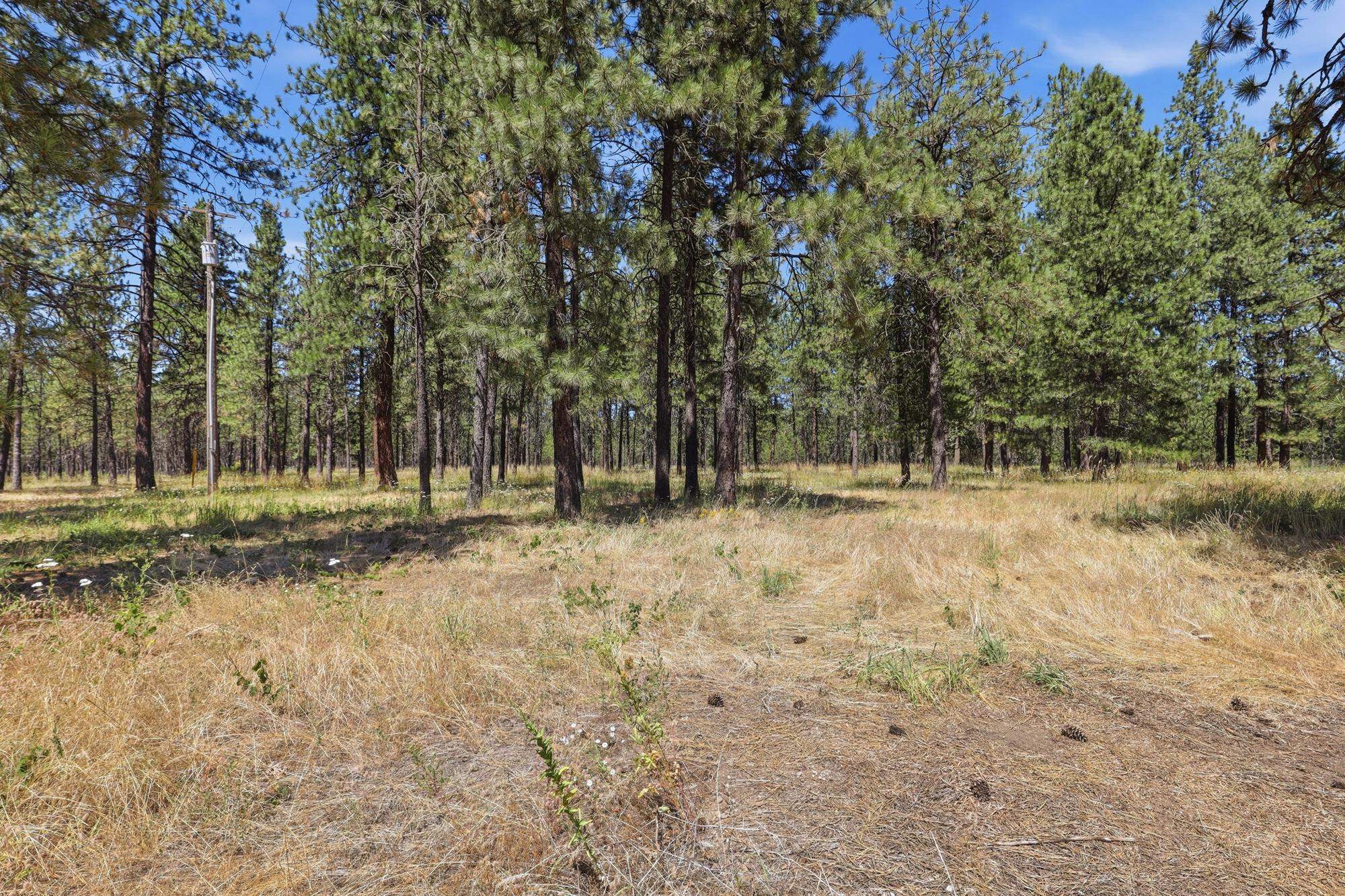 3311 E Oregon Rd - Photo 43