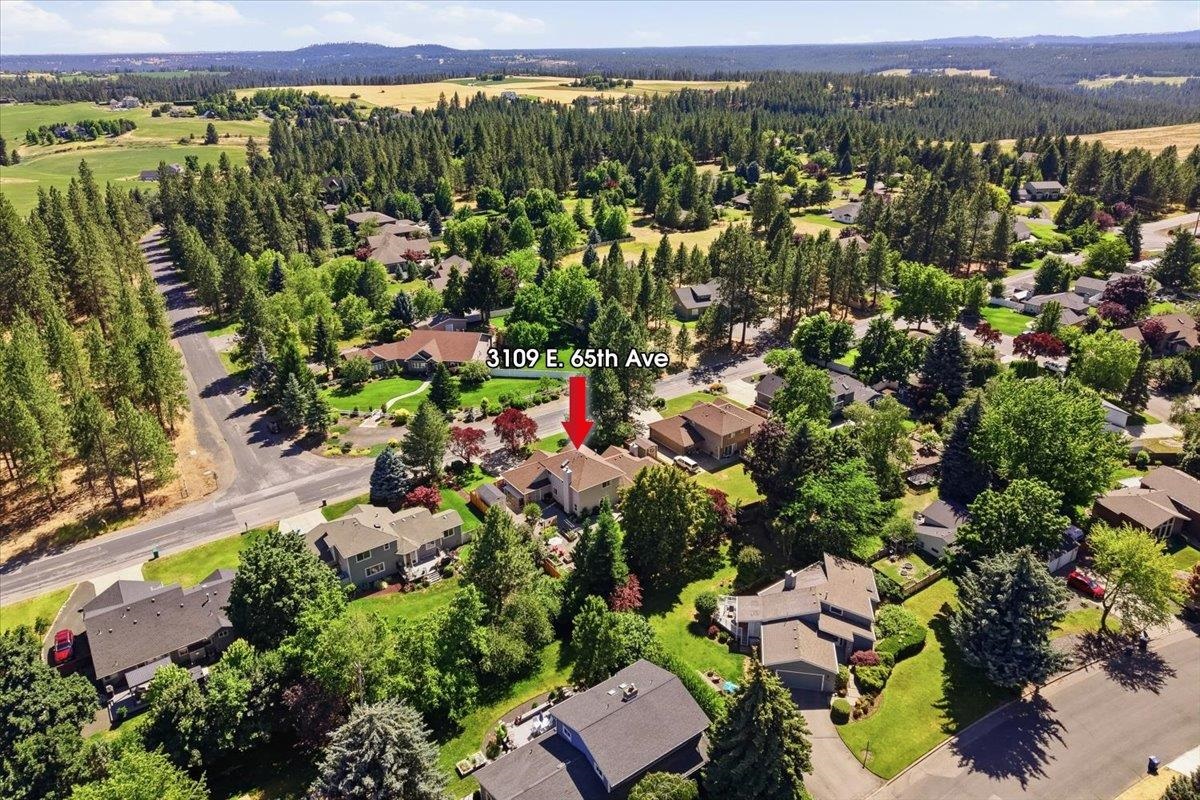 3109 E 65th Ave - Photo 43