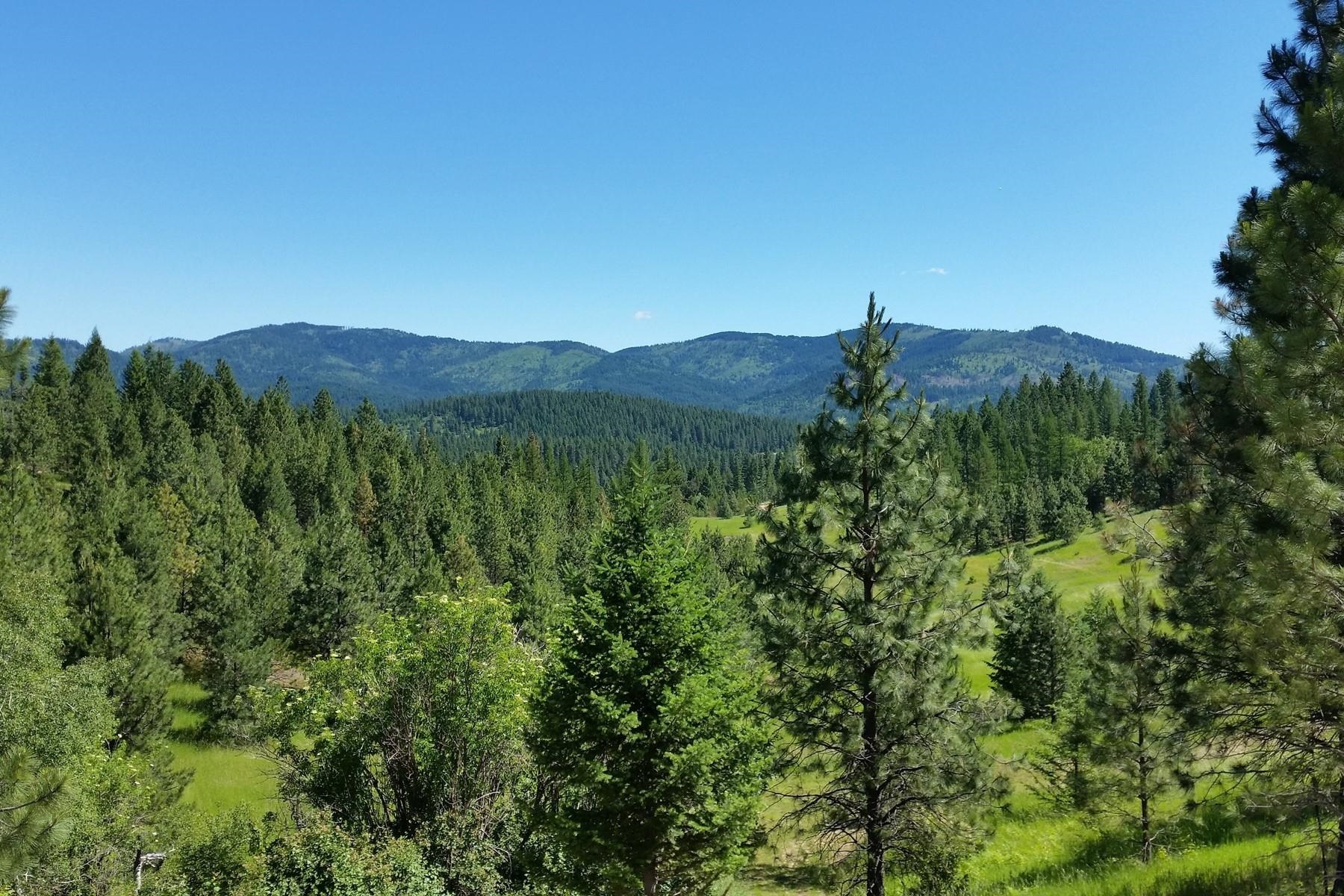 20 Acres S Starr Rd - Photo 1