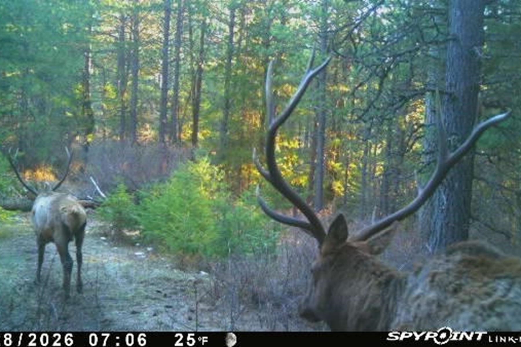 20 Acres S Starr Rd - Photo 9