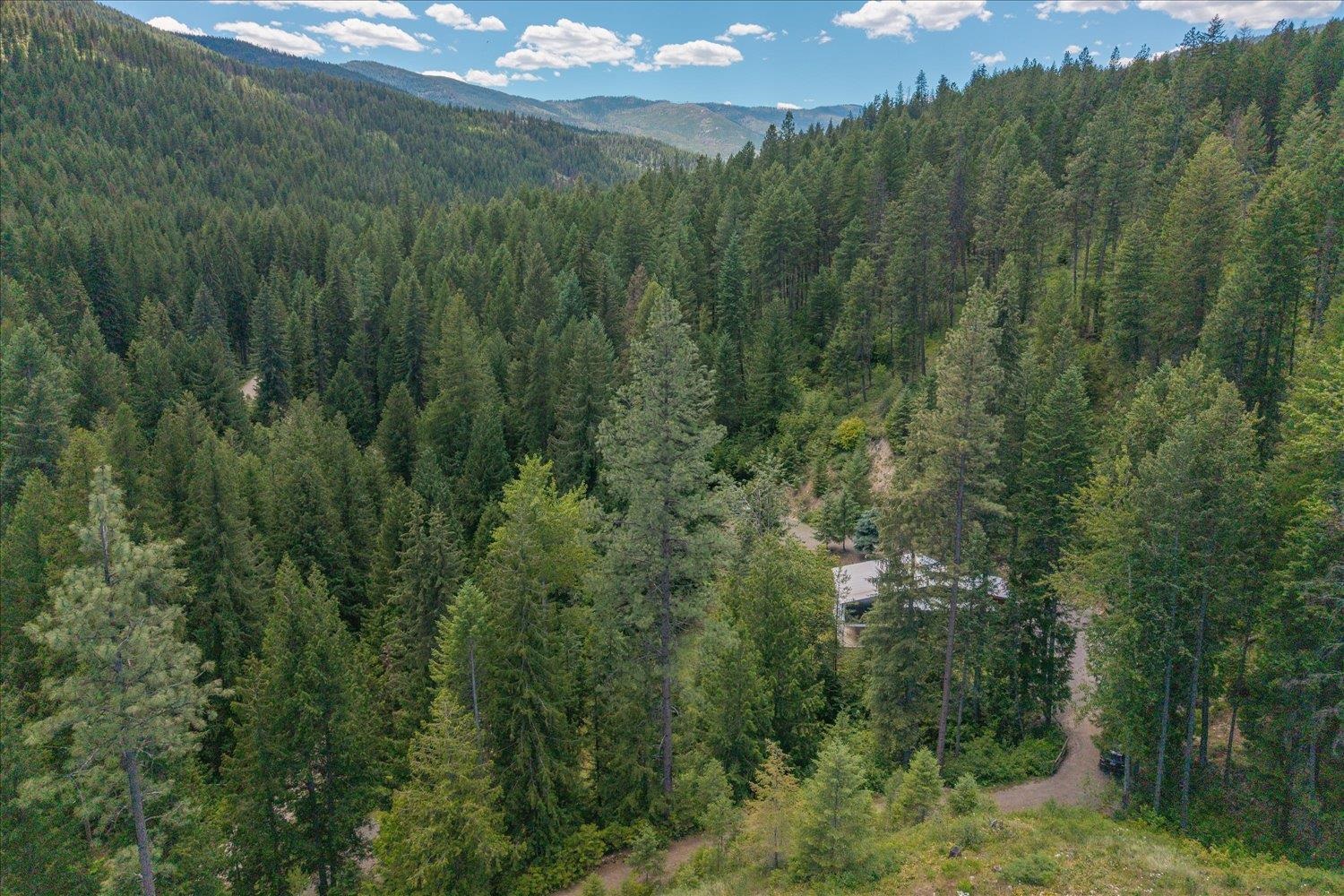 604 Deadman Creek Rd - Photo 45