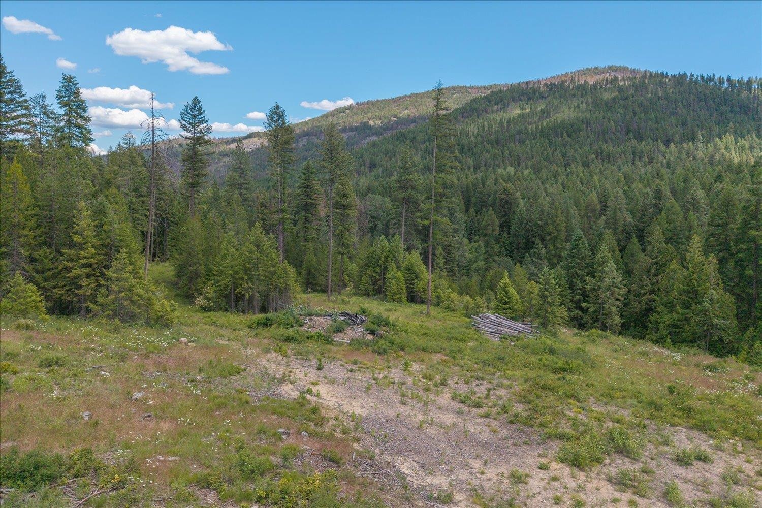 604 Deadman Creek Rd - Photo 46