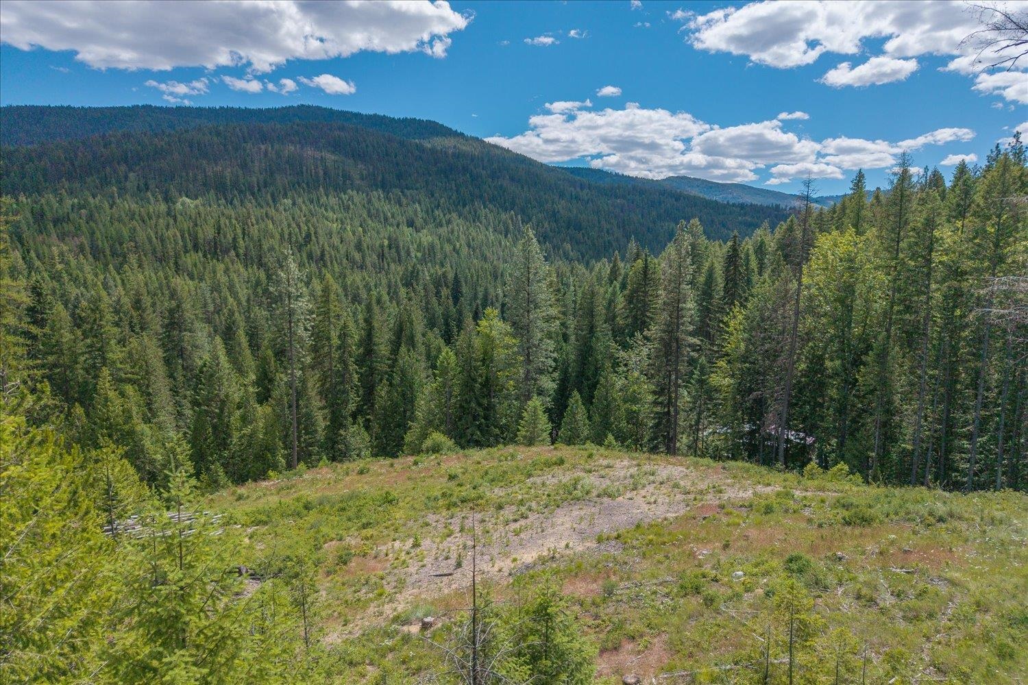 604 Deadman Creek Rd - Photo 47