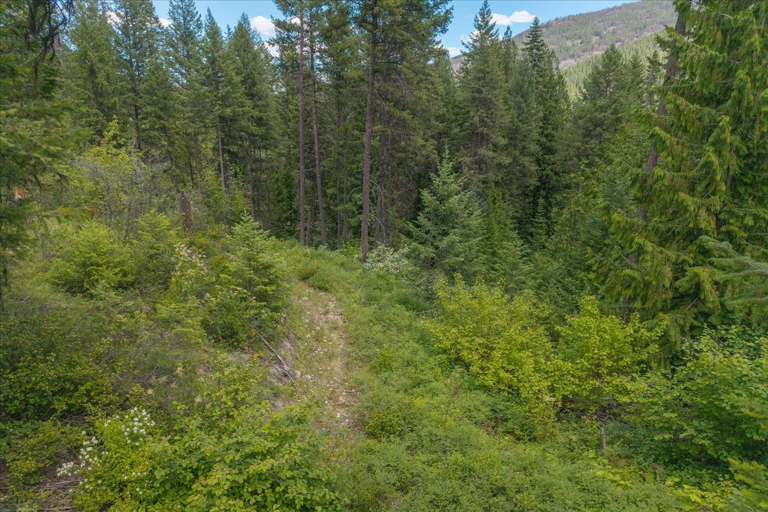604 Deadman Creek Rd - Photo 48