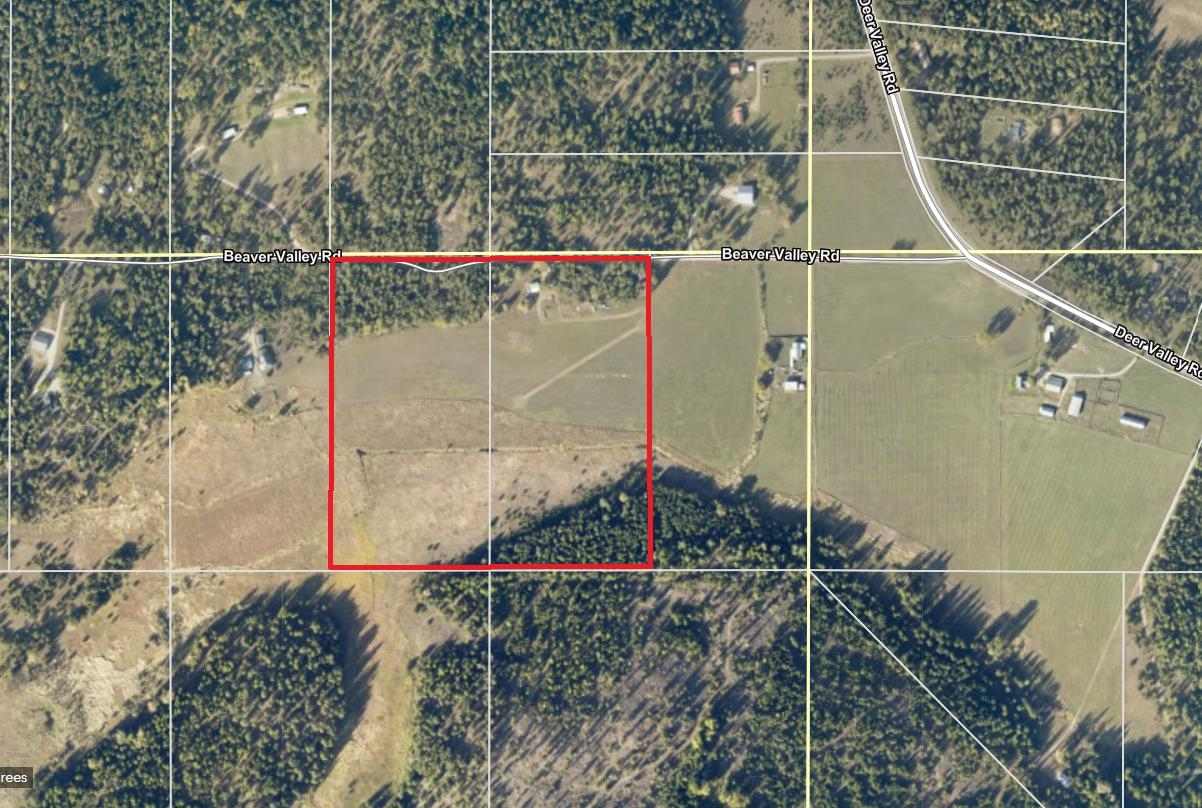 307 Beaver Valley Rd - Photo 1