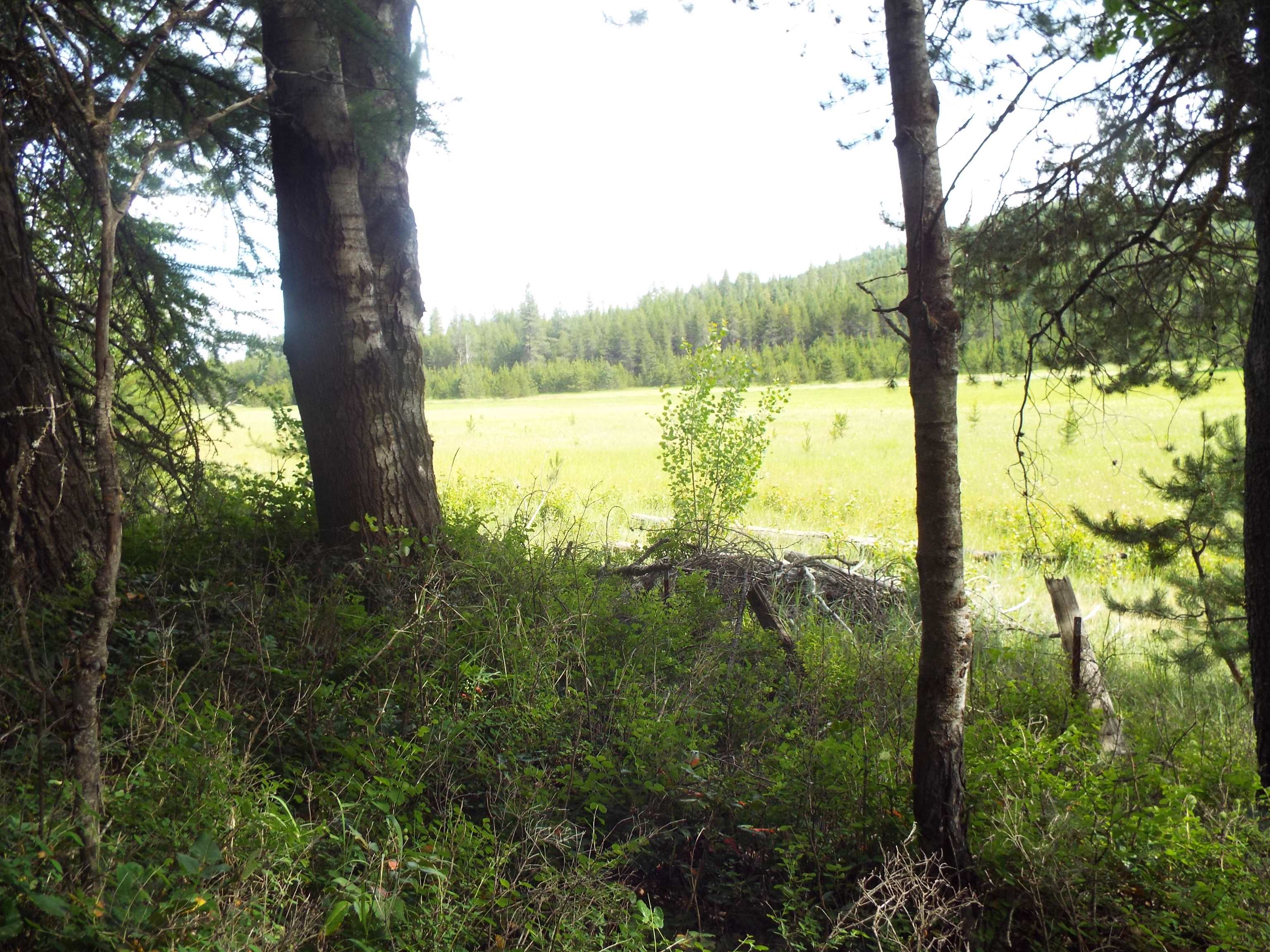 307 Beaver Valley Rd - Photo 3