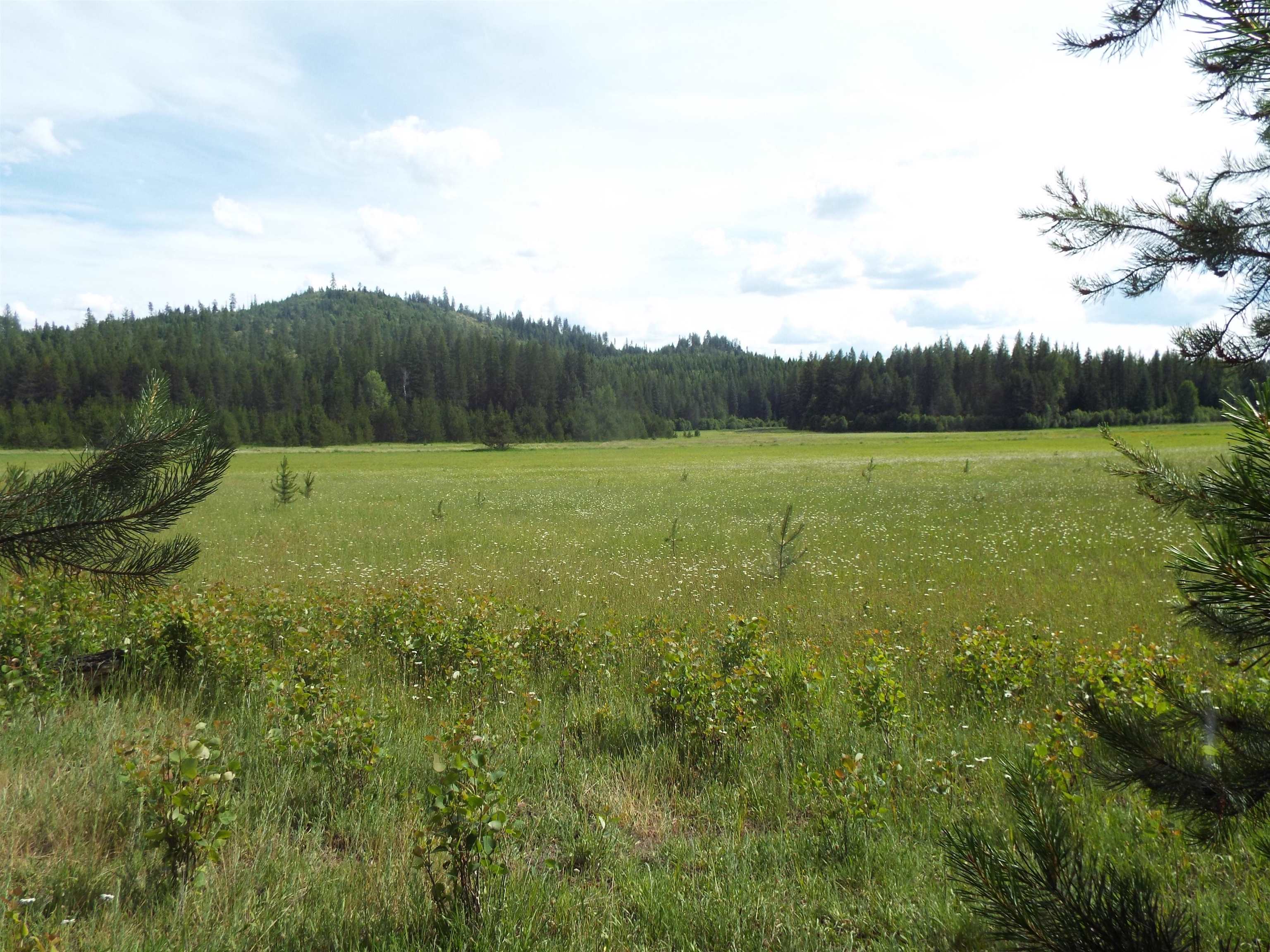 307 Beaver Valley Rd - Photo 4
