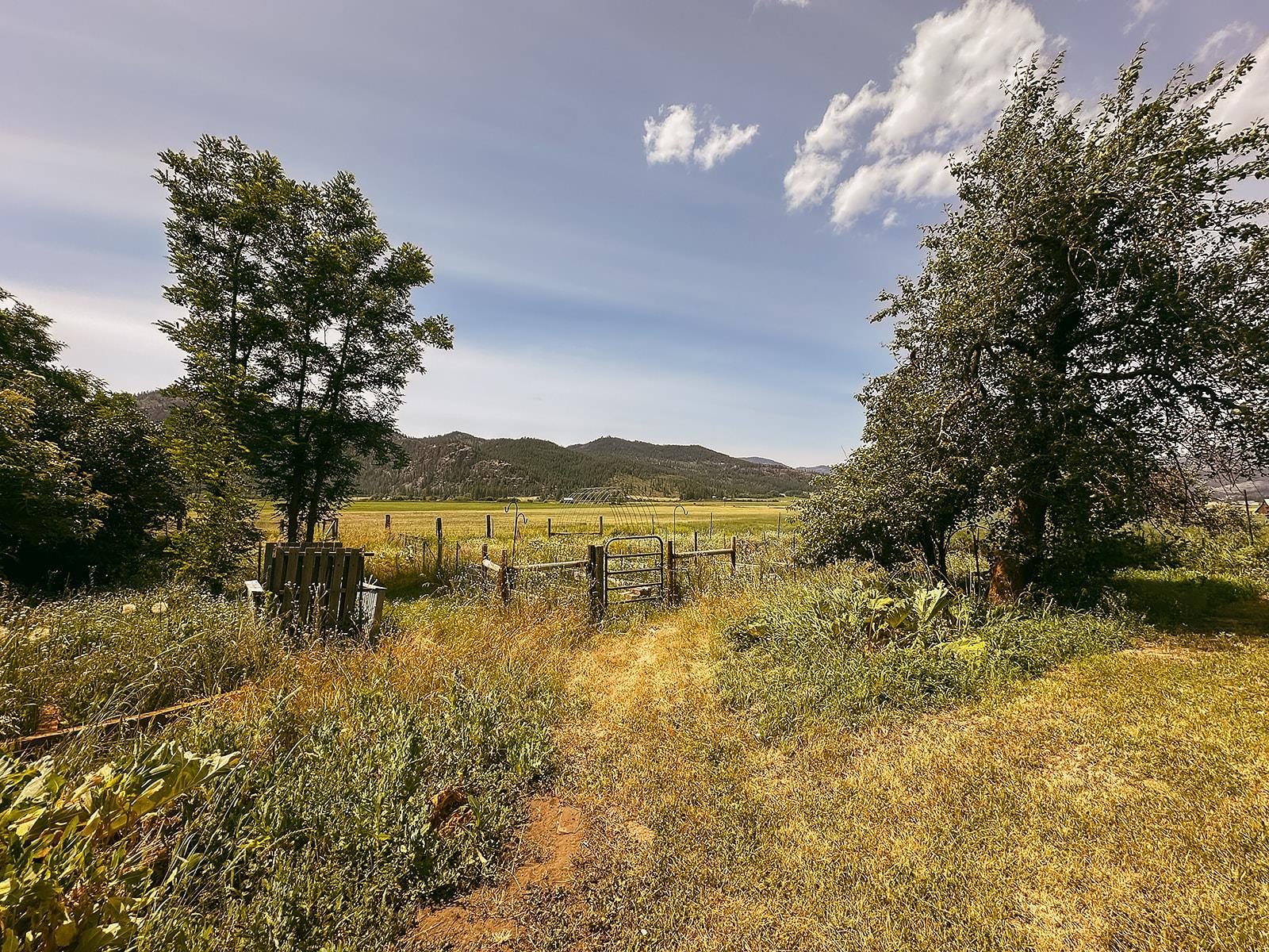 1966 S 395 Hwy - Photo 50
