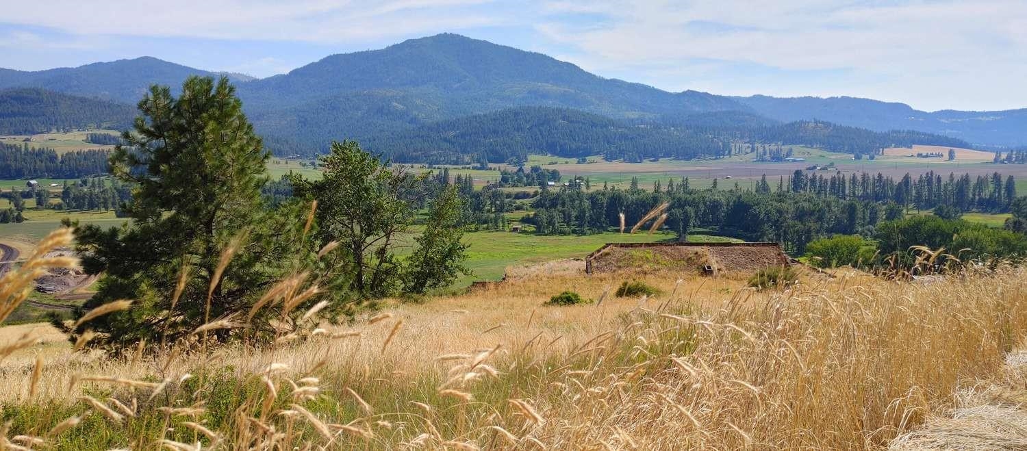 700 Pingston Creek Rd - Photo 1