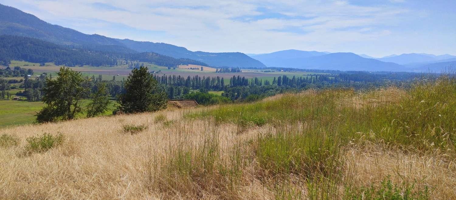 700 Pingston Creek Rd - Photo 2