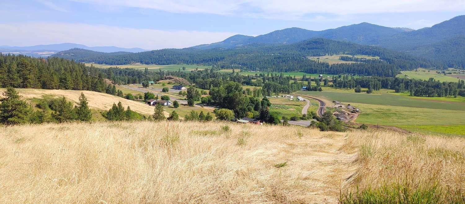 700 Pingston Creek Rd - Photo 3