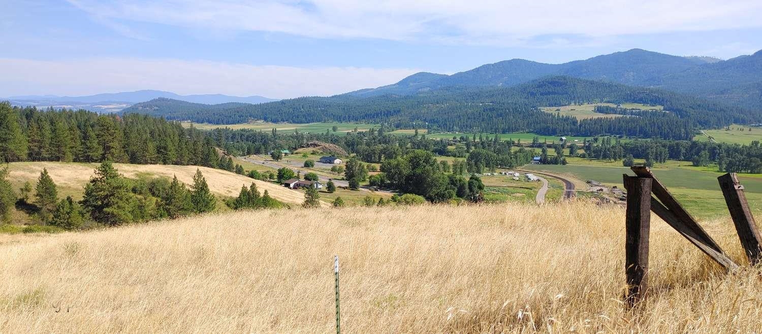 700 Pingston Creek Rd - Photo 4