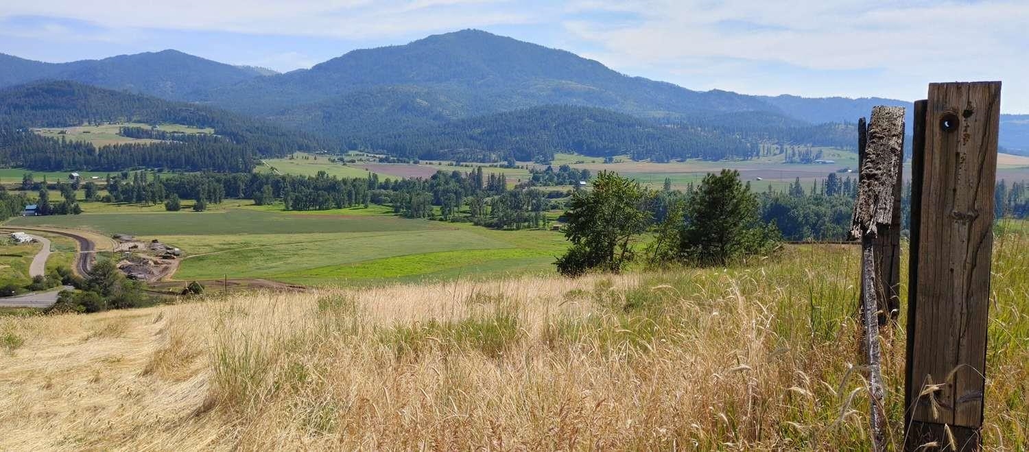 700 Pingston Creek Rd - Photo 5