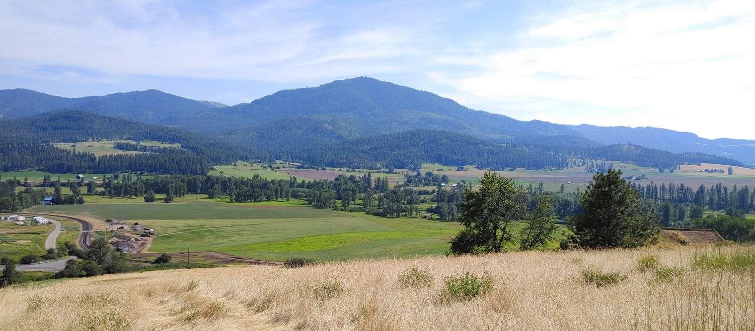 700 Pingston Creek Rd - Photo 6