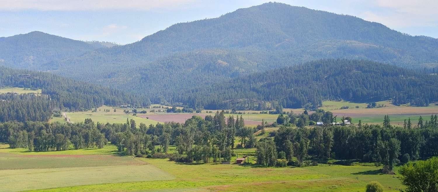 700 Pingston Creek Rd - Photo 7