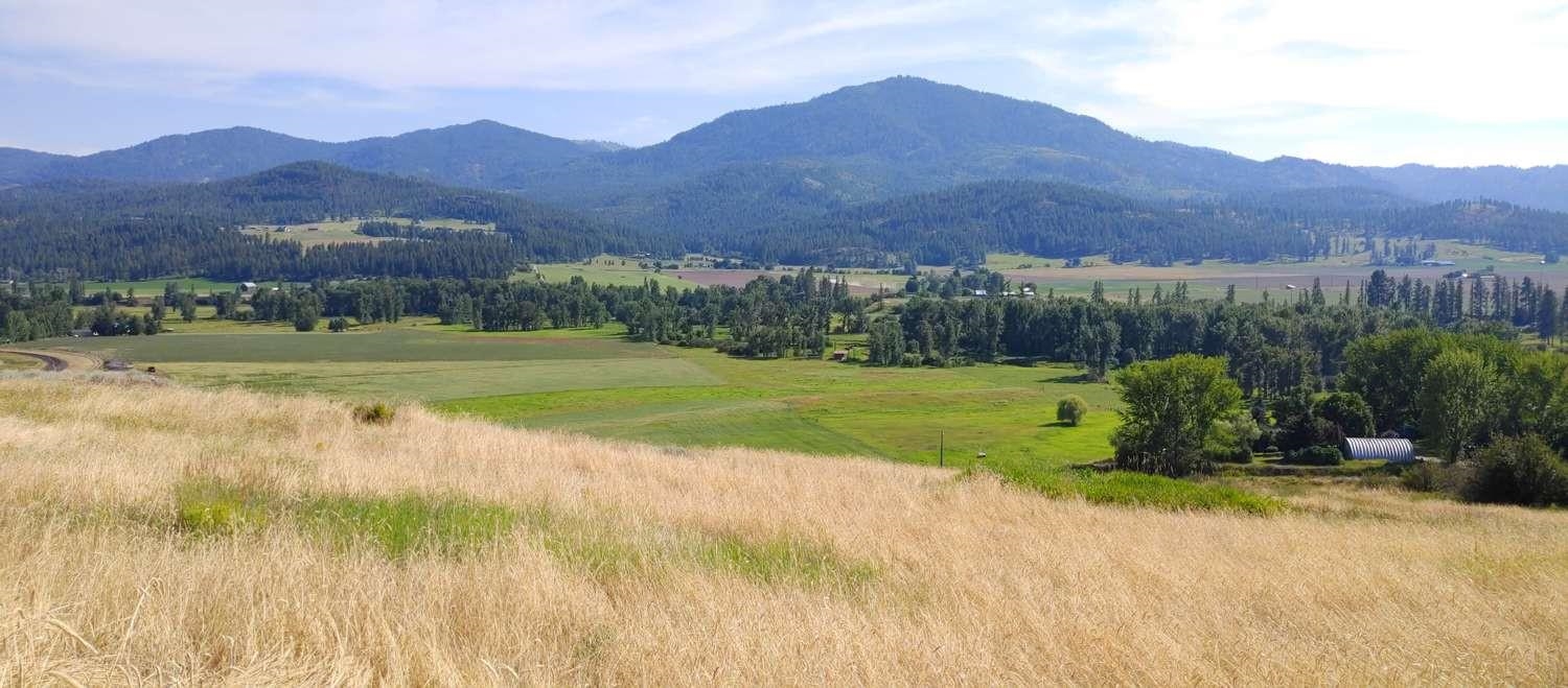 700 Pingston Creek Rd - Photo 10