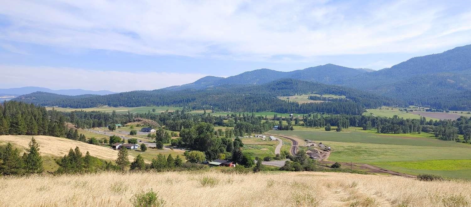 700 Pingston Creek Rd - Photo 11