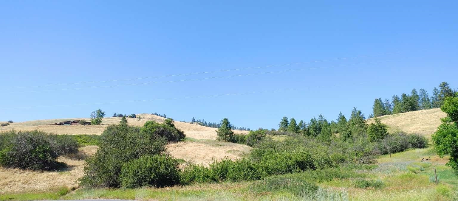 700 Pingston Creek Rd - Photo 15