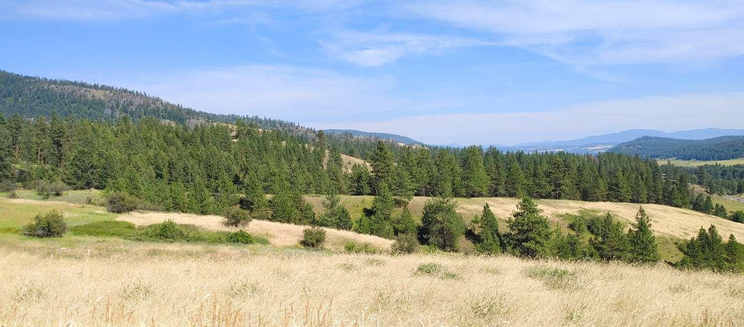 700 Pingston Creek Rd - Photo 18