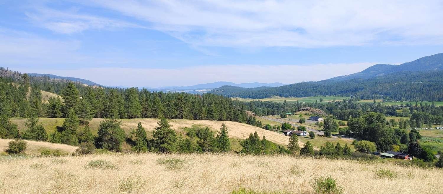 700 Pingston Creek Rd - Photo 19