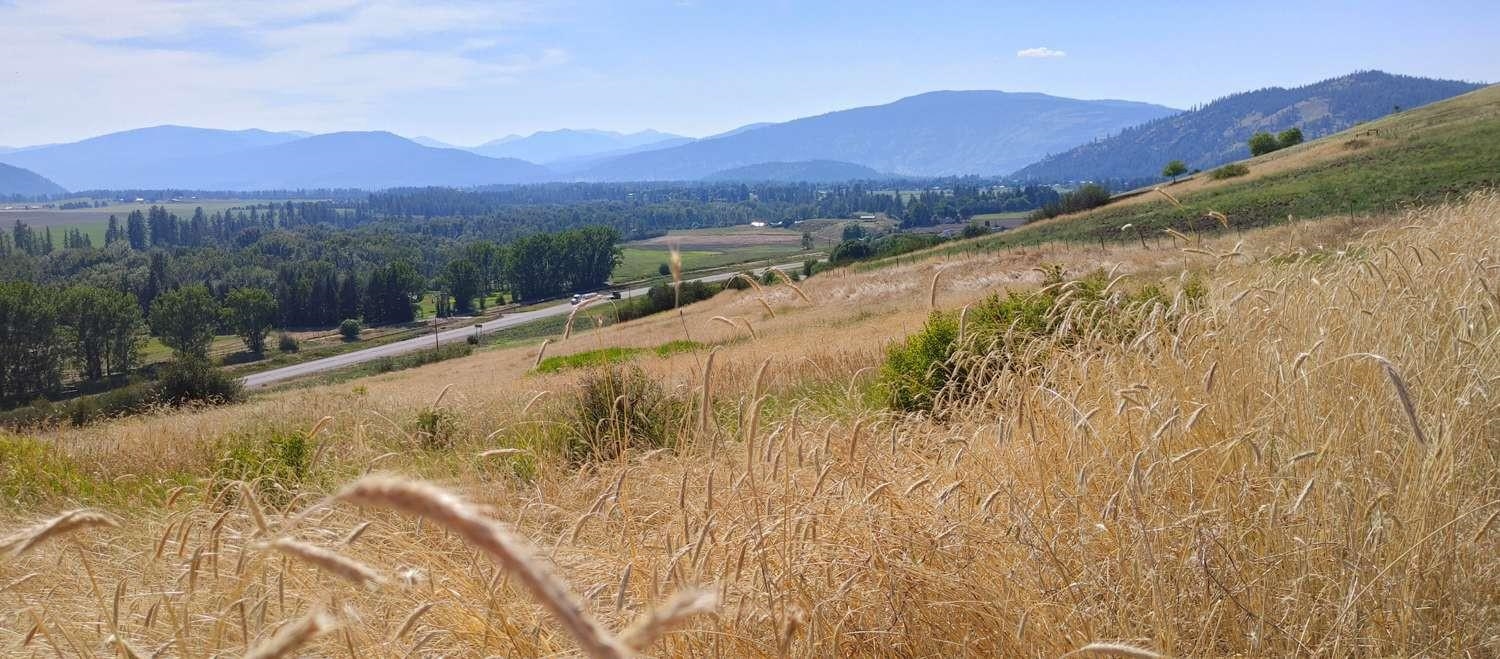 700 Pingston Creek Rd - Photo 20