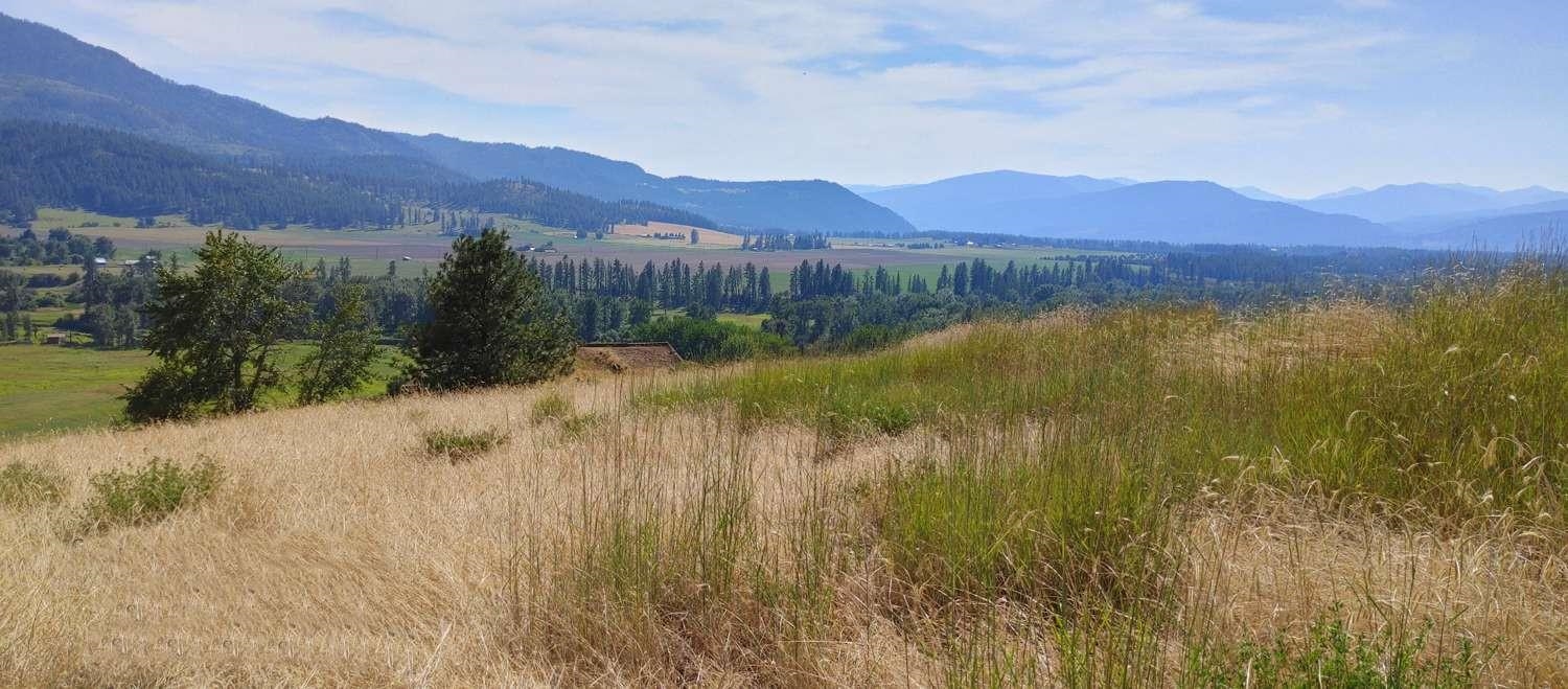 700 Pingston Creek Rd - Photo 21