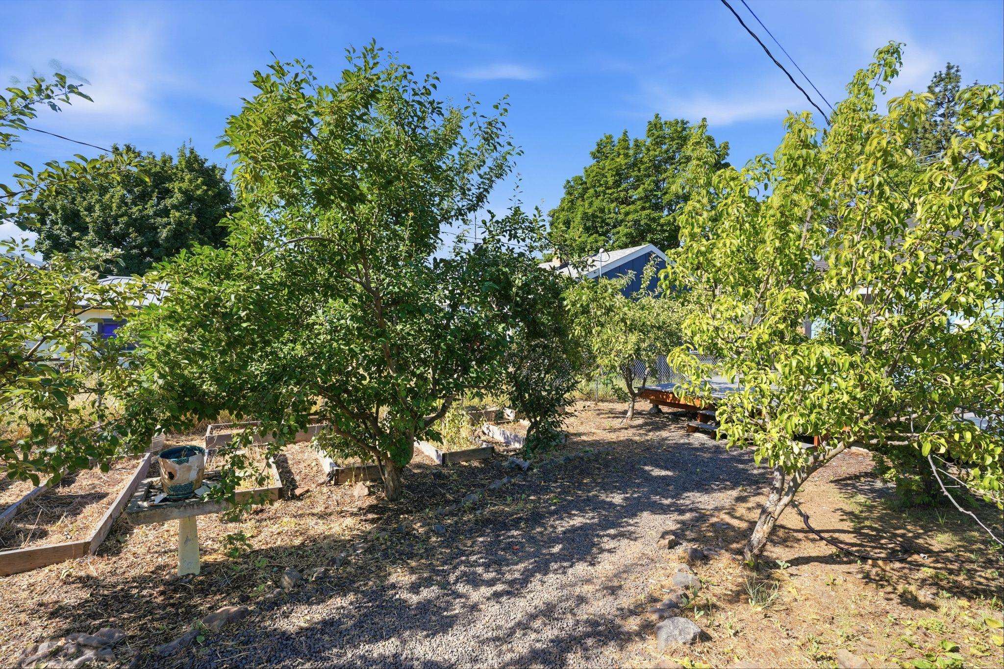 4518 N Assembly St - Photo 26