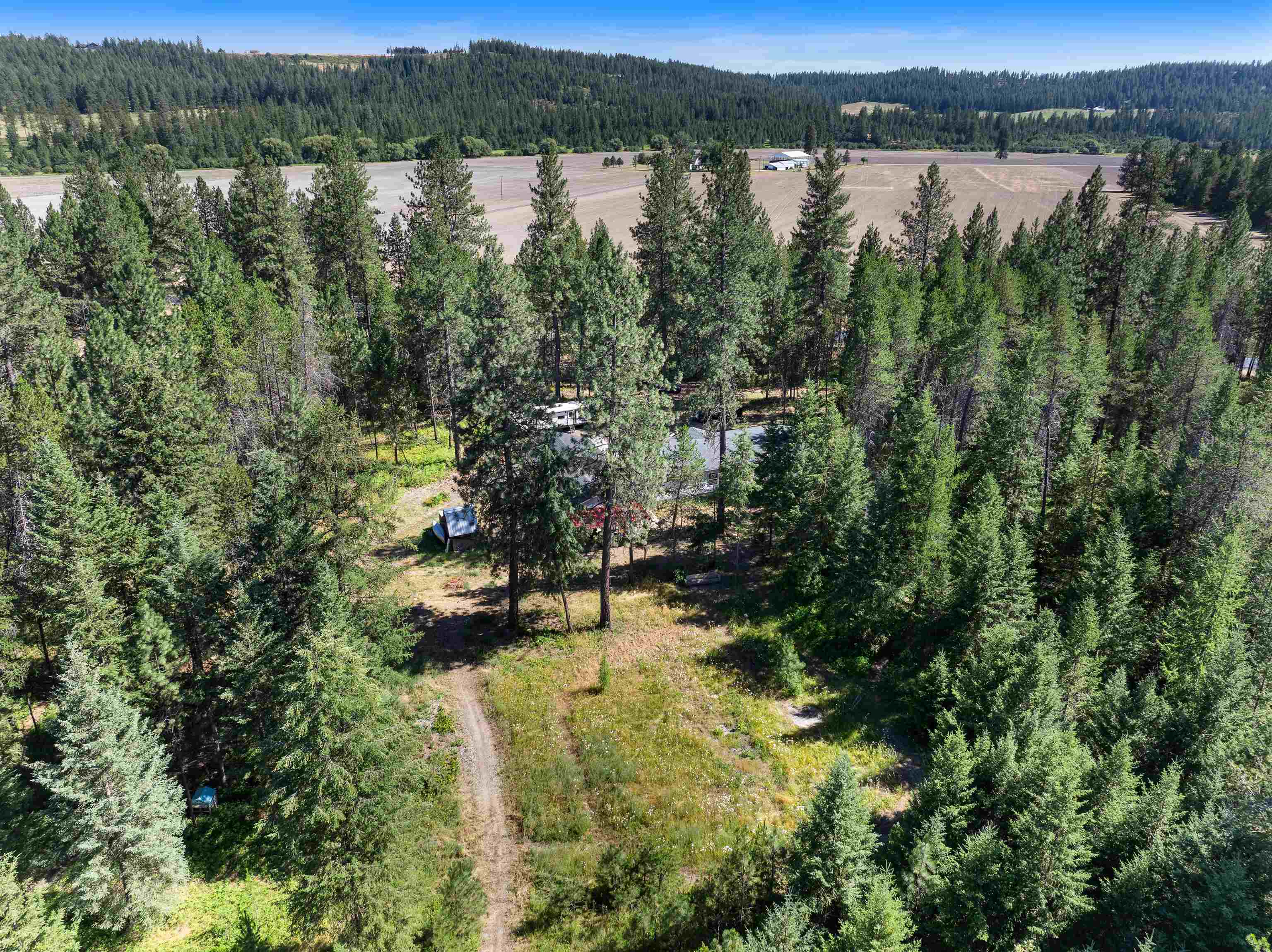 8421 E Elk Chattaroy Rd - Photo 38