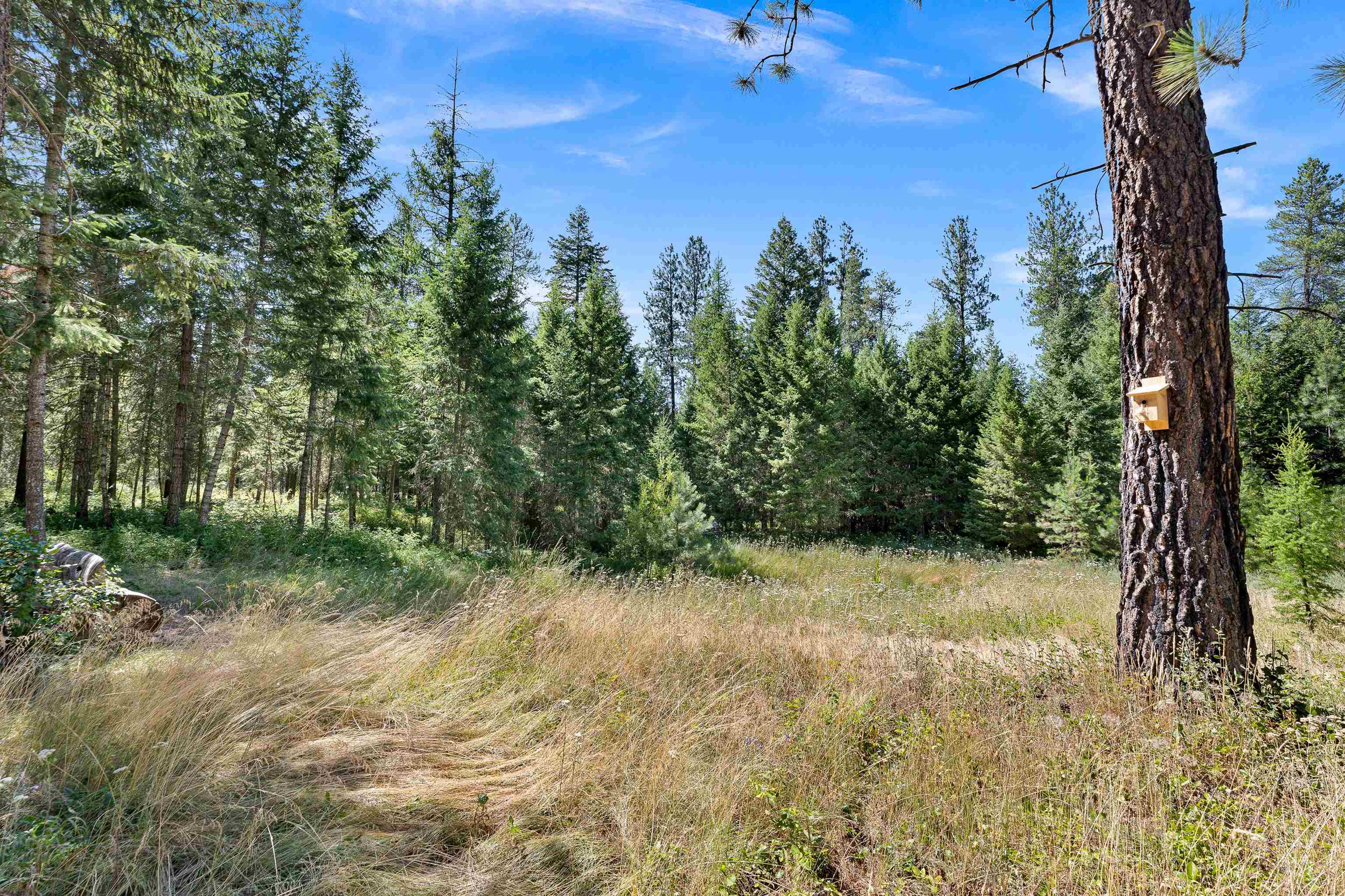8421 E Elk Chattaroy Rd - Photo 42