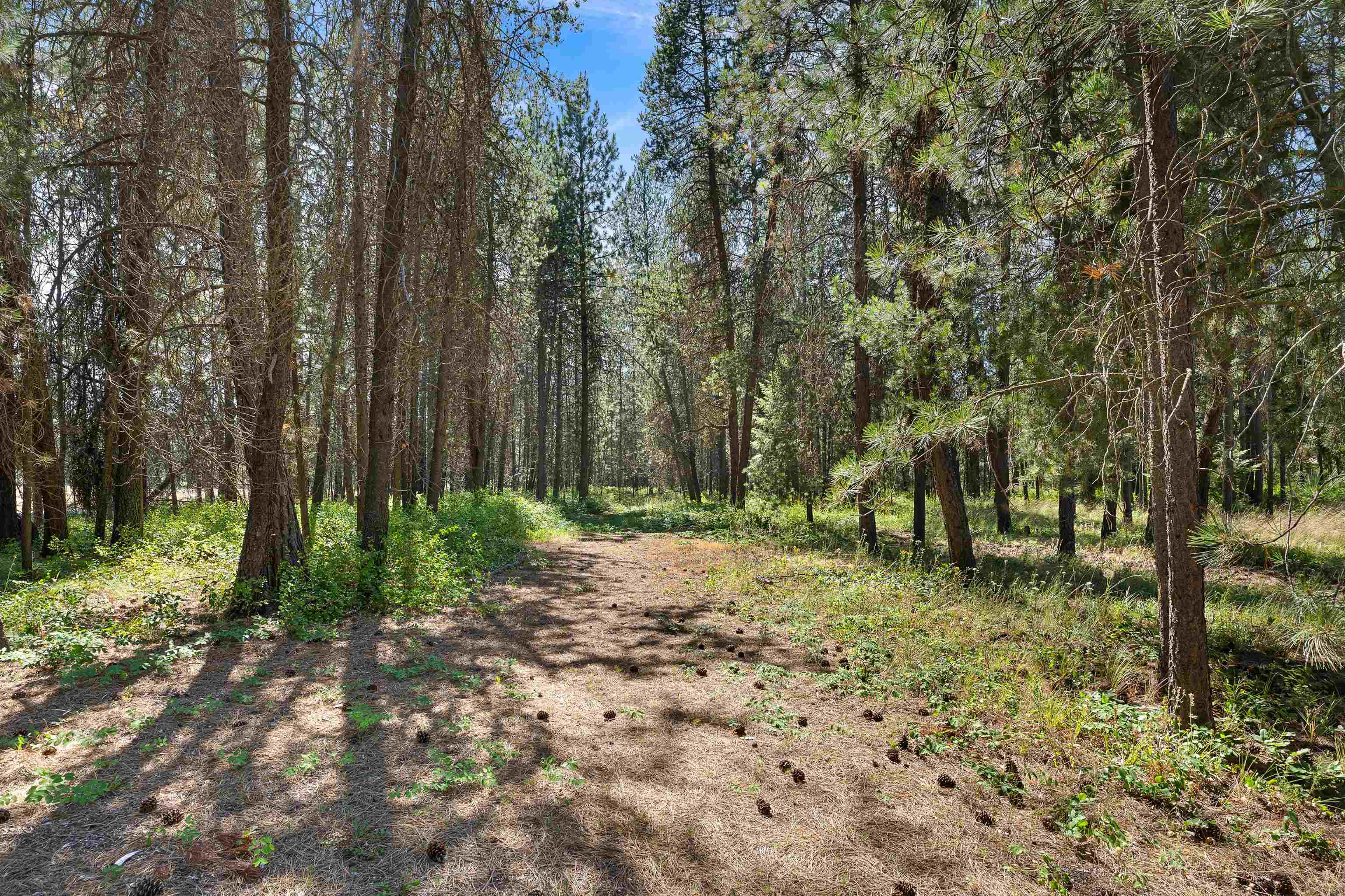 8421 E Elk Chattaroy Rd - Photo 46