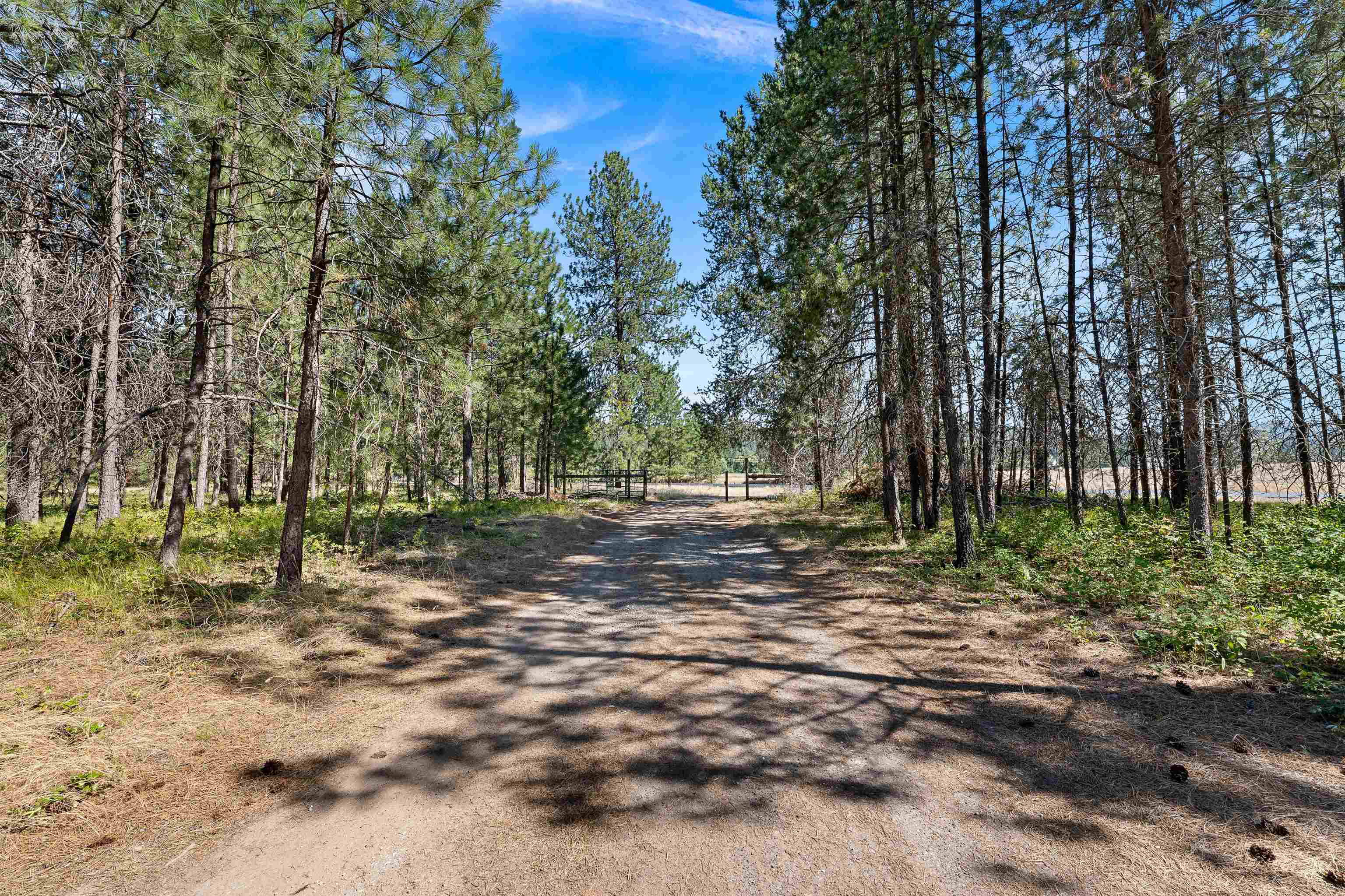 8421 E Elk Chattaroy Rd - Photo 47