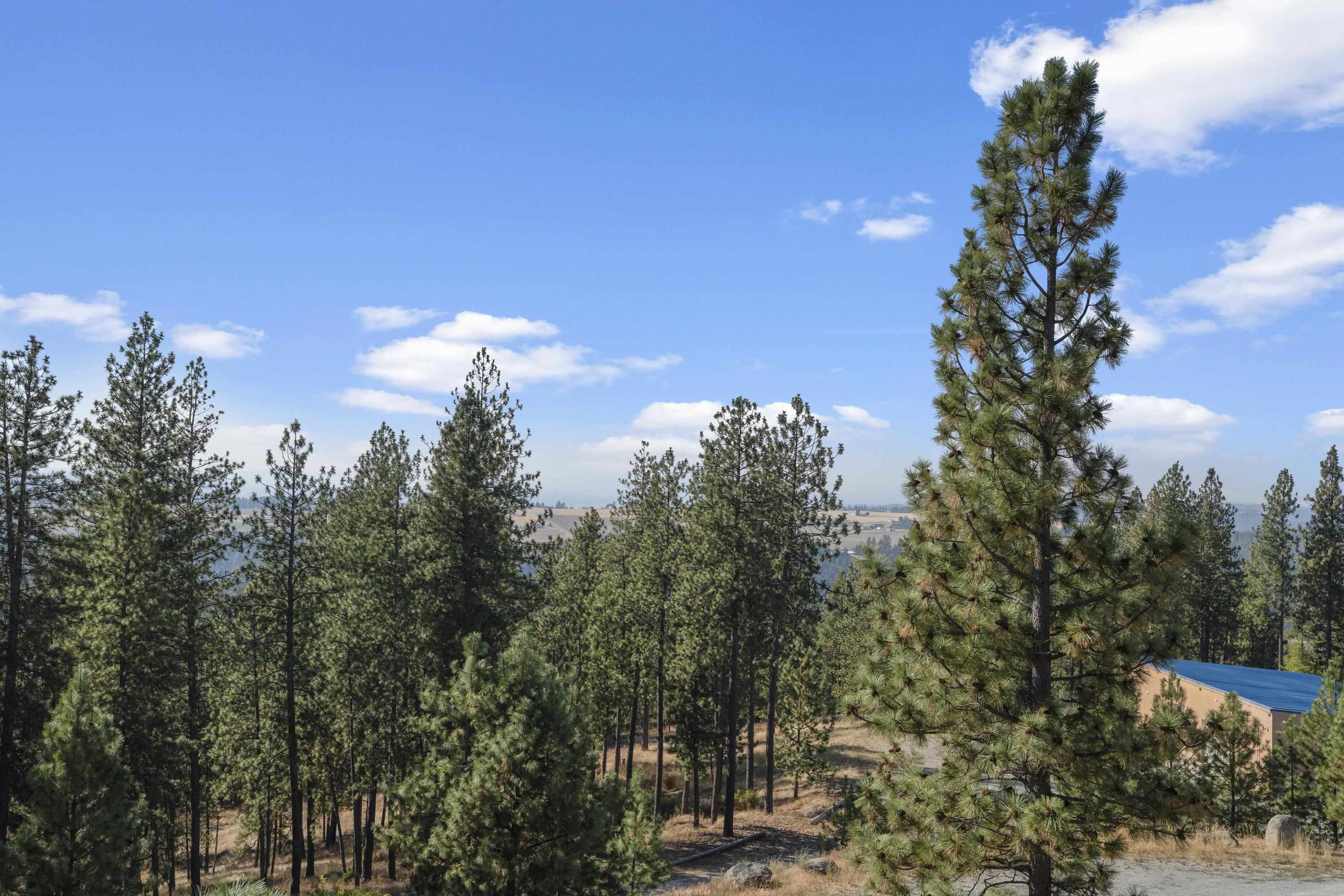 16315 E Temple Rd - Photo 8