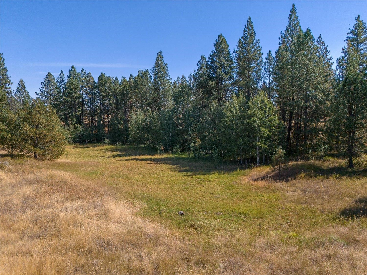 36321 S Bootstrap Ln - Photo 6