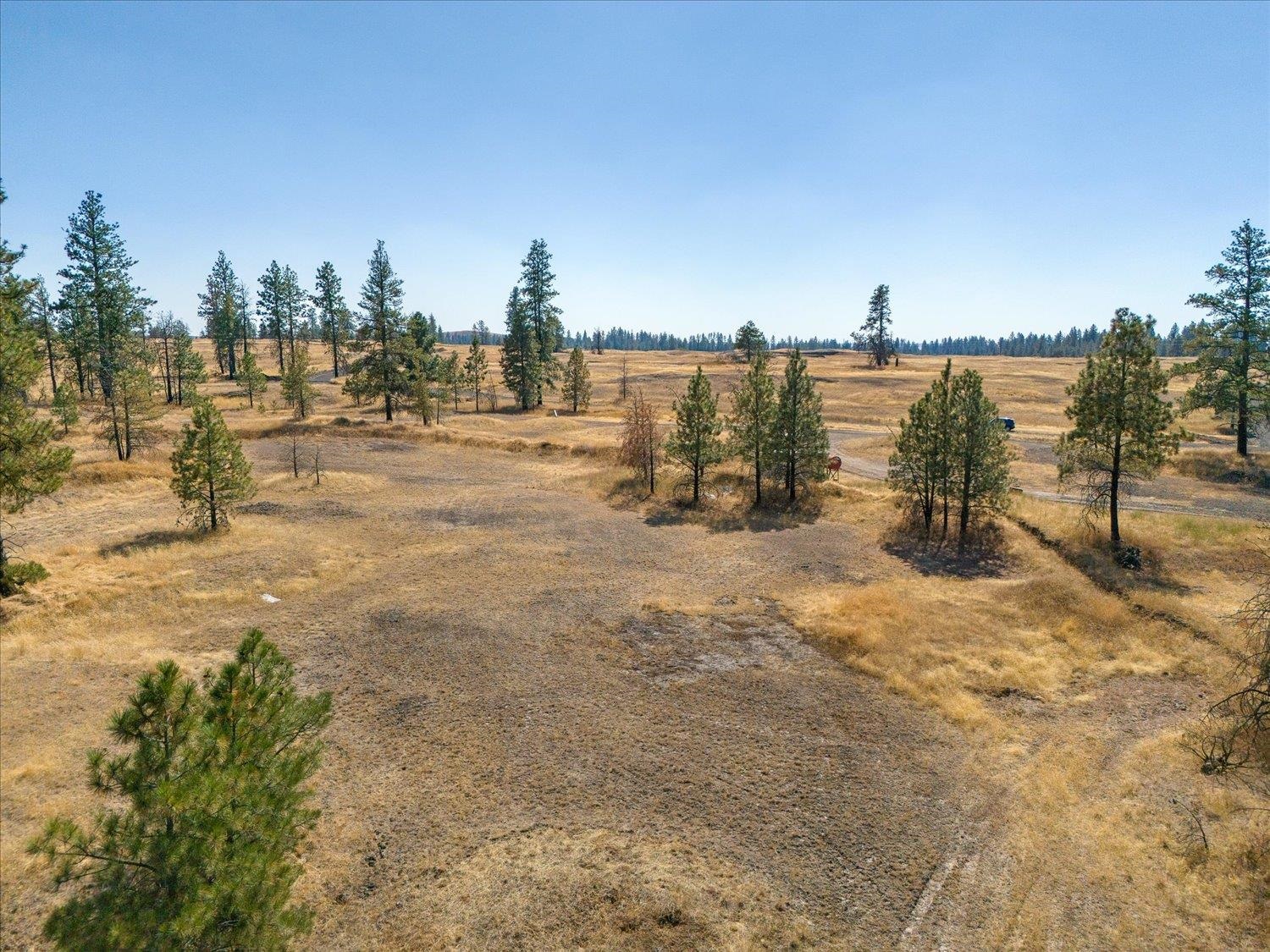 36321 S Bootstrap Ln - Photo 8