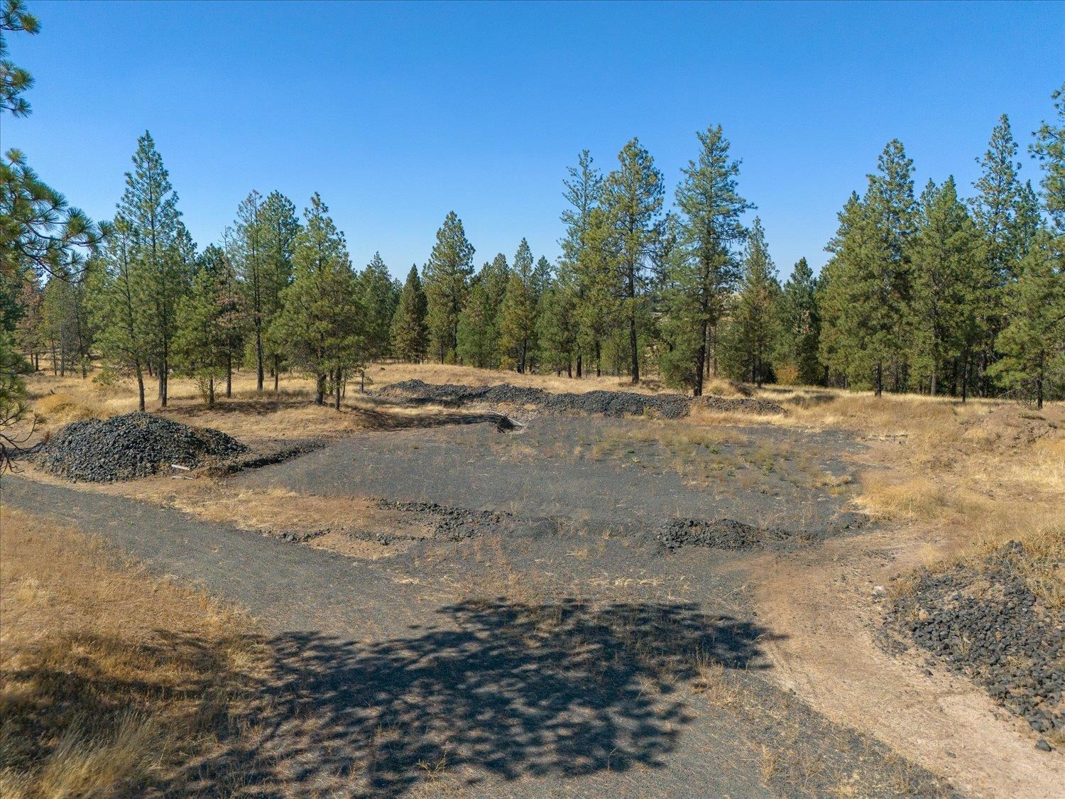 36321 S Bootstrap Ln - Photo 9