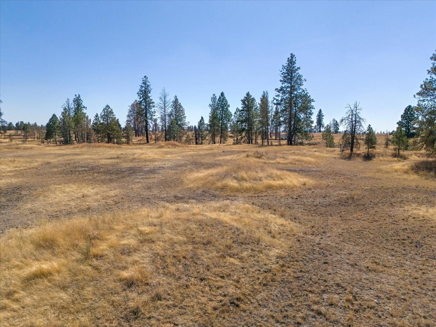 36377 S Bootstrap Ln - Photo 4