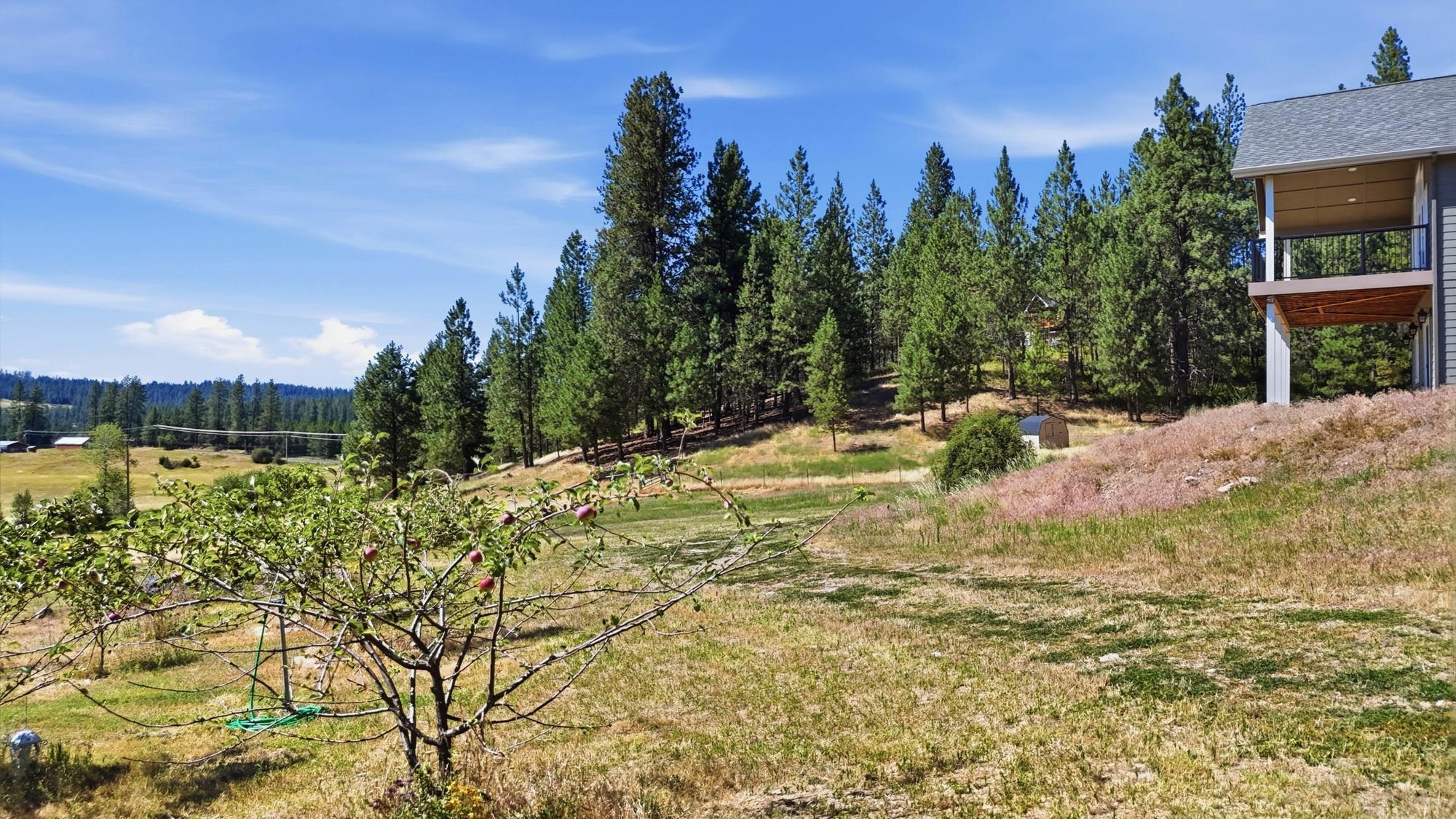 12611 E Big Meadows Rd - Photo 39