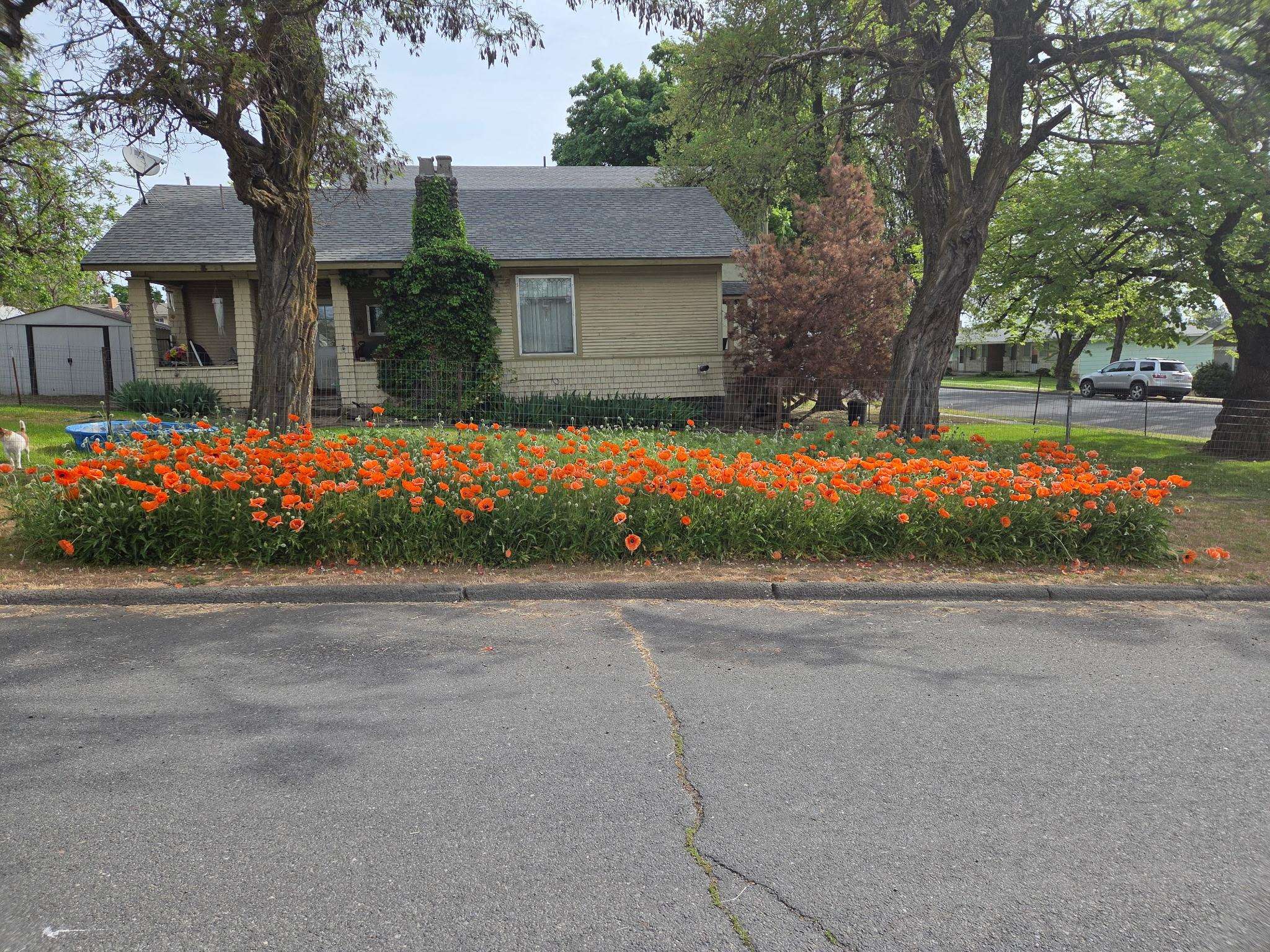 1008 2nd St - Photo 2