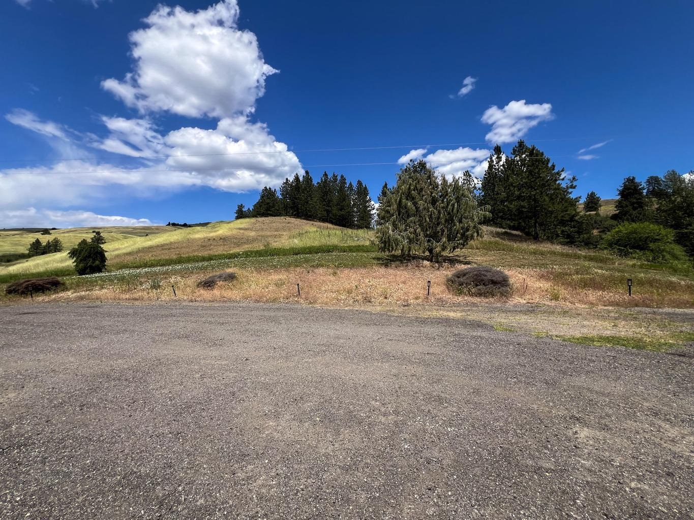 598 N 395 Hwy - Photo 38