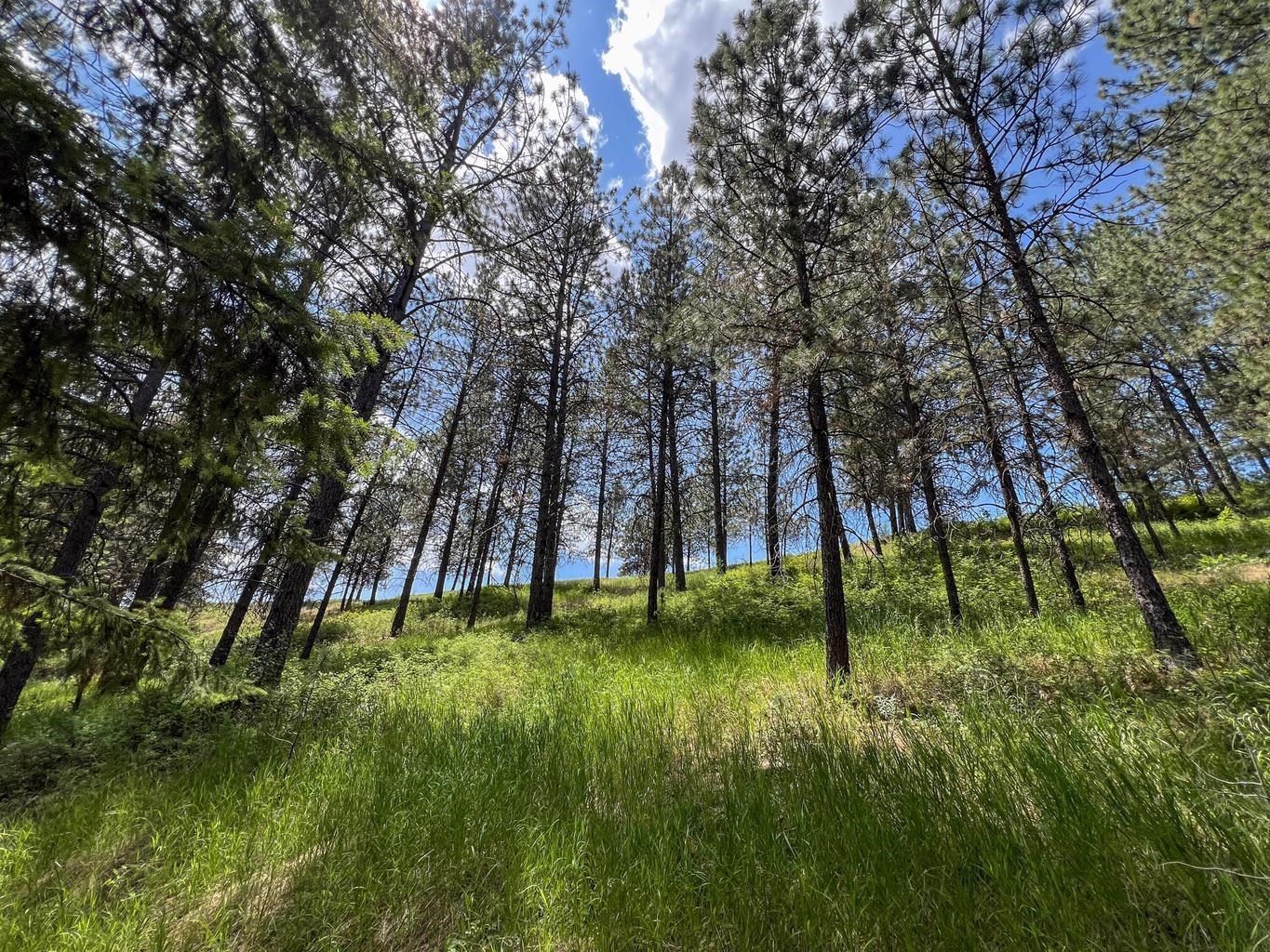 598 N 395 Hwy - Photo 48