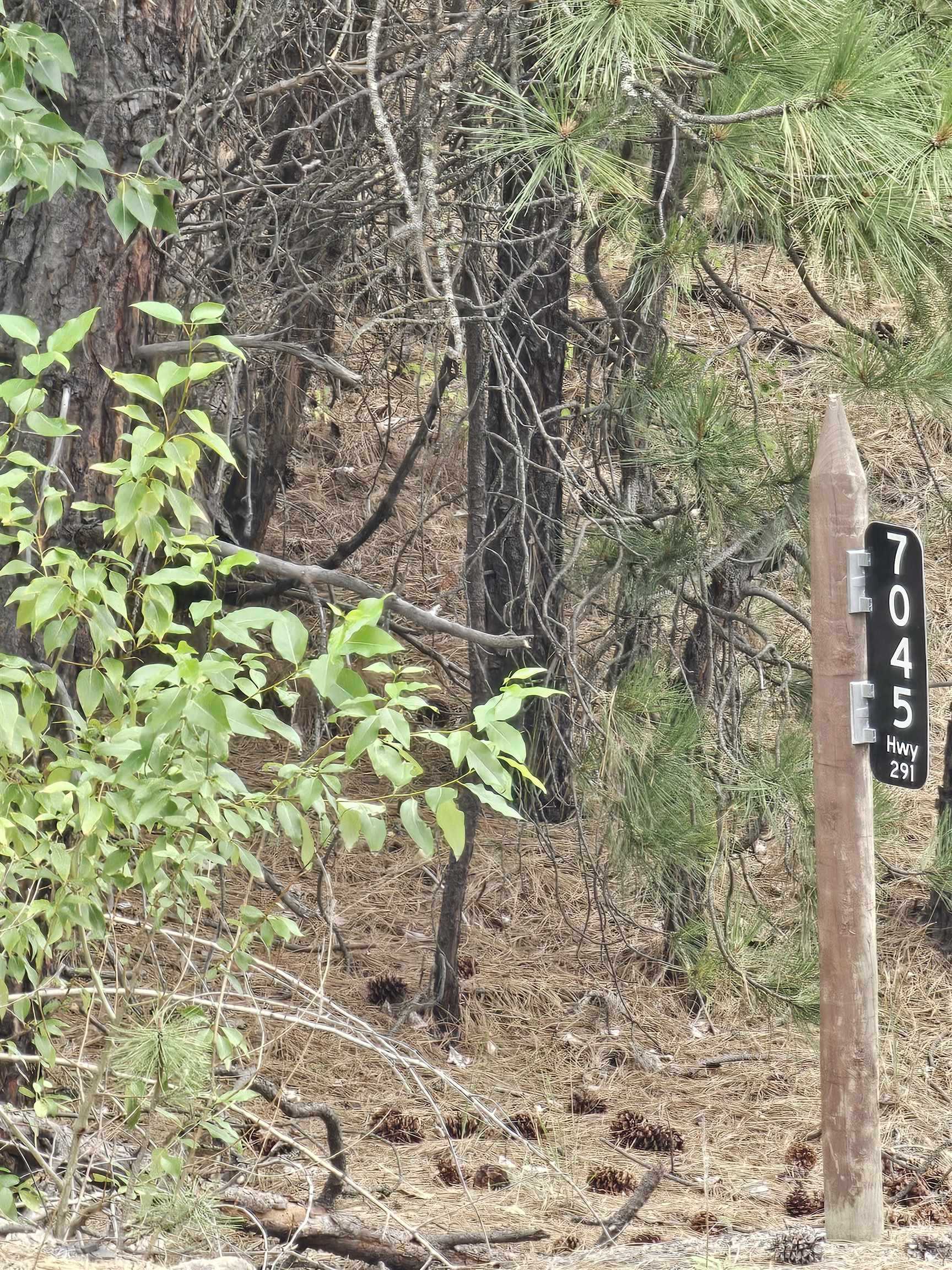 7045 HWY 291 Hwy - Photo 2