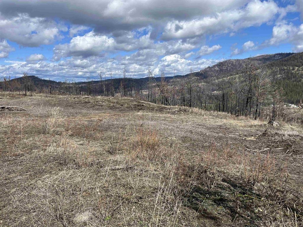 Lot 8 Rail Canyon Rd - Photo 1