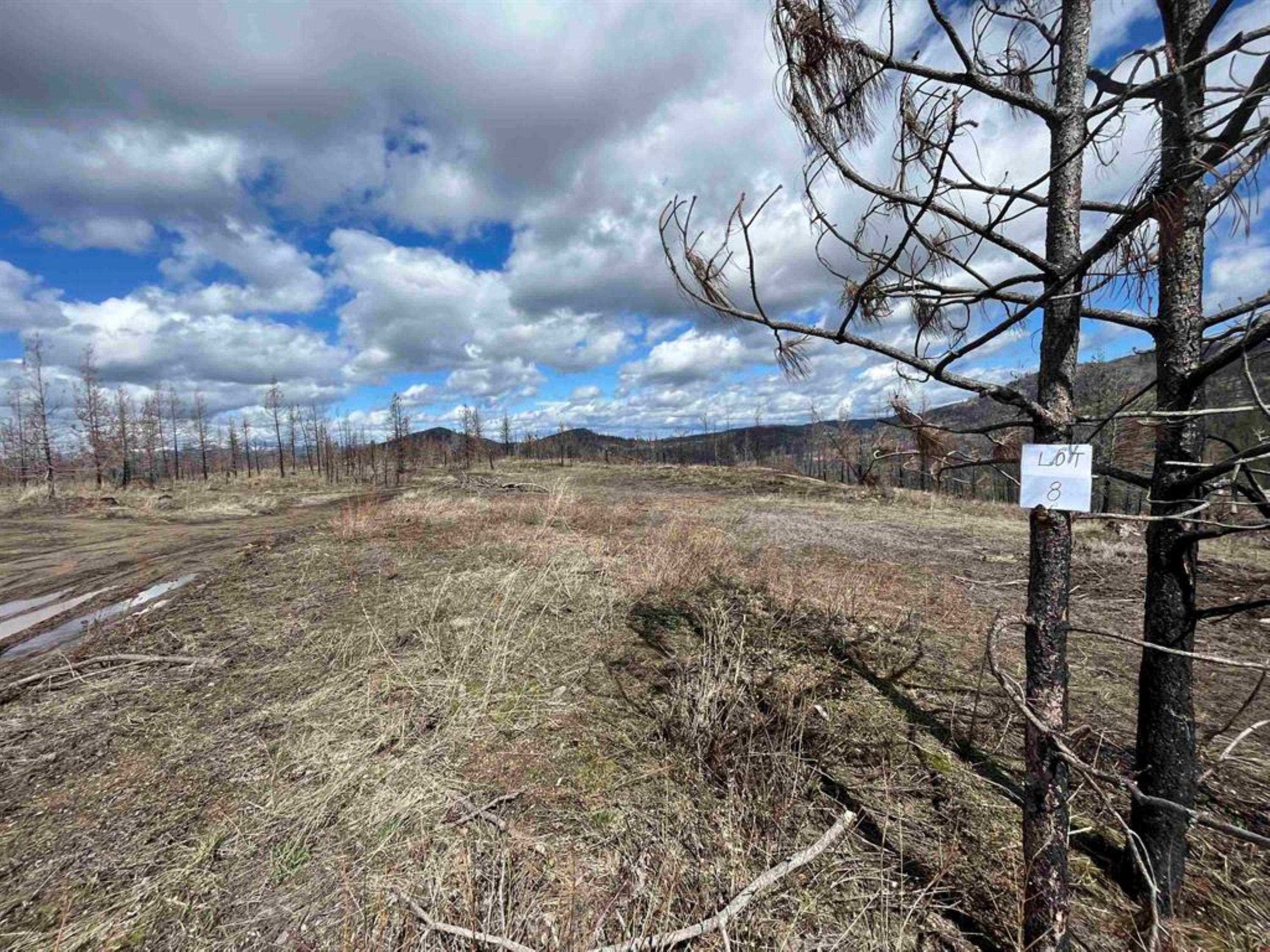 Lot 8 Rail Canyon Rd - Photo 2