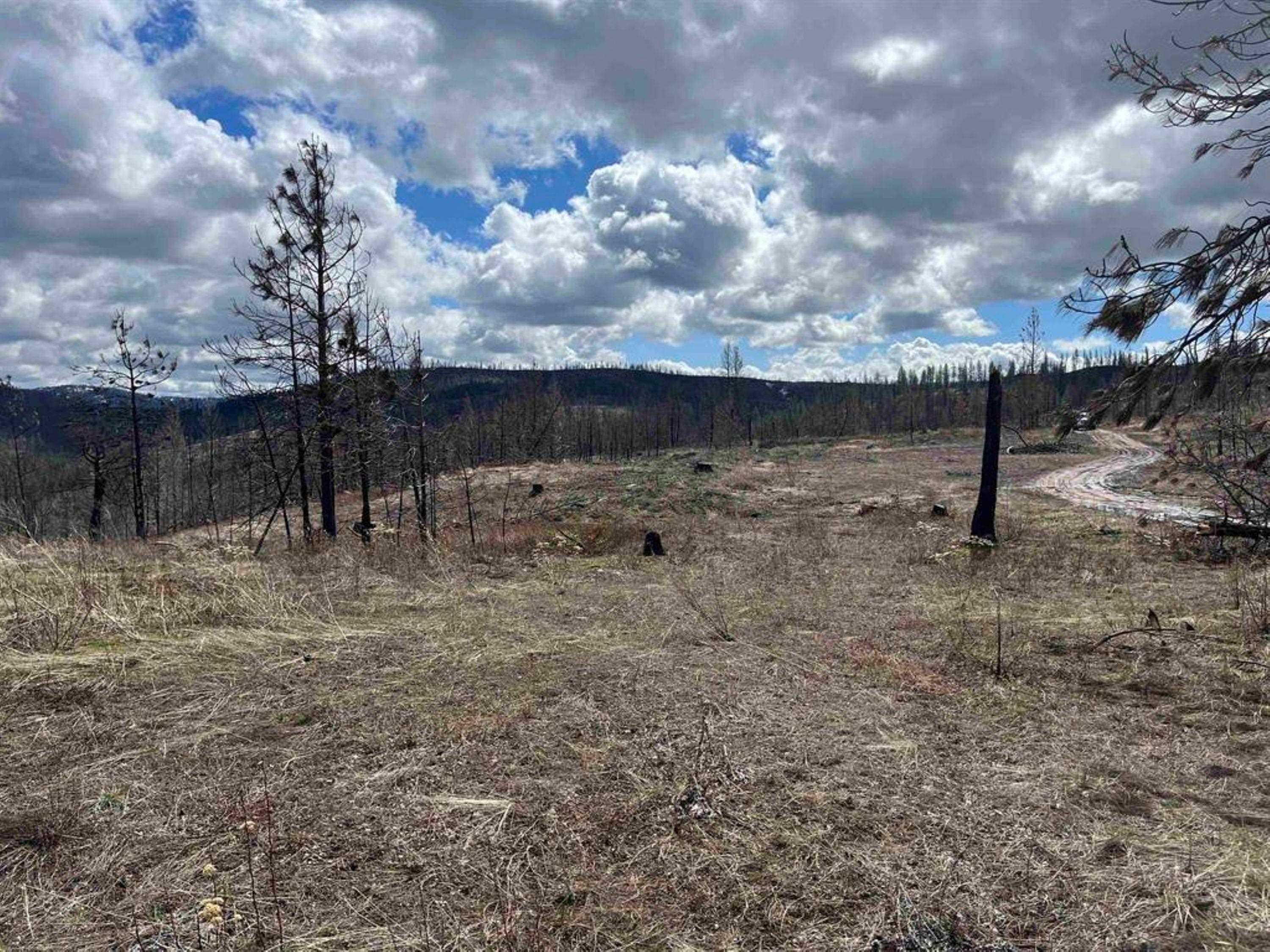 Lot 8 Rail Canyon Rd - Photo 3