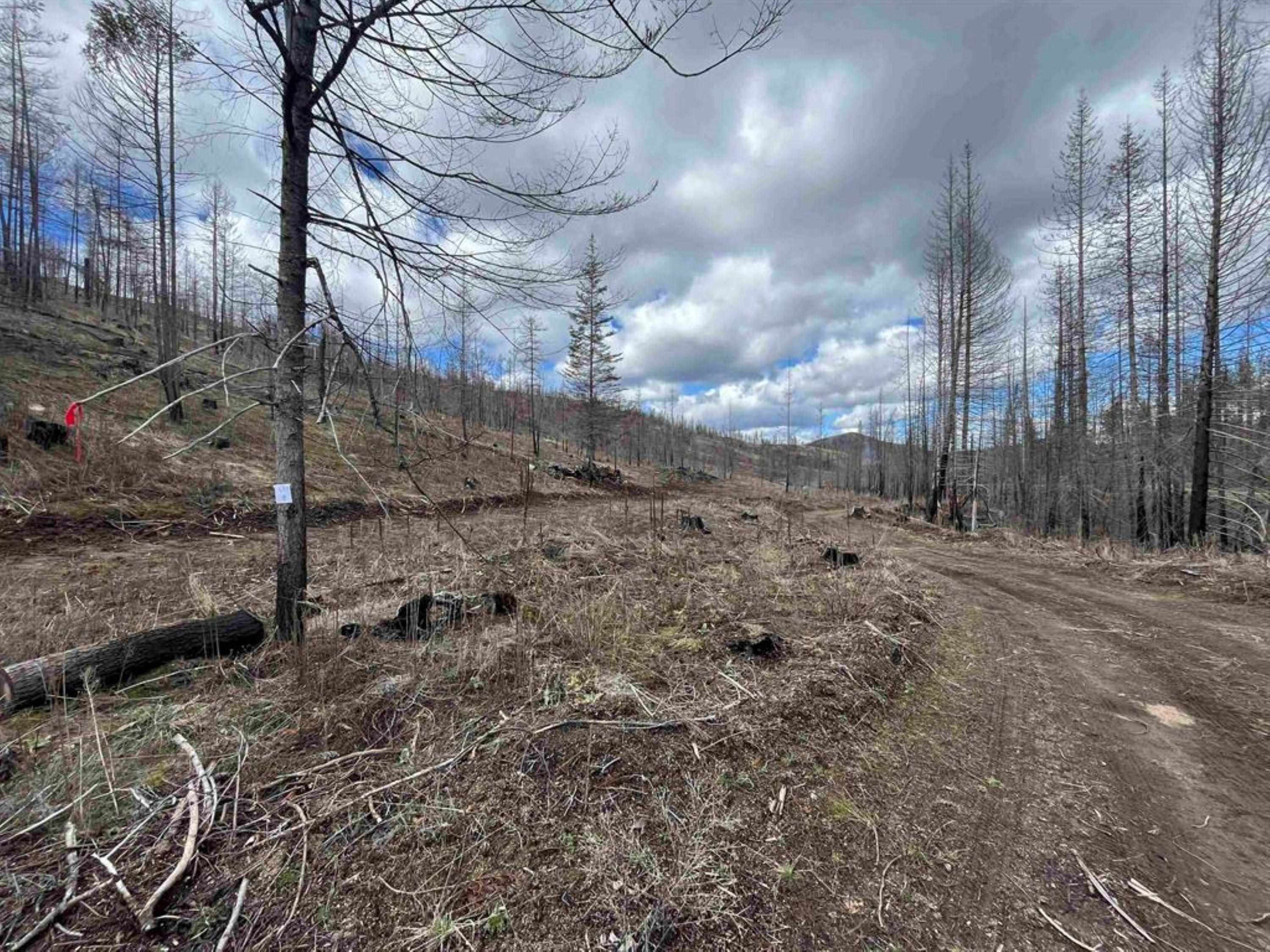 Lot 8 Rail Canyon Rd - Photo 4