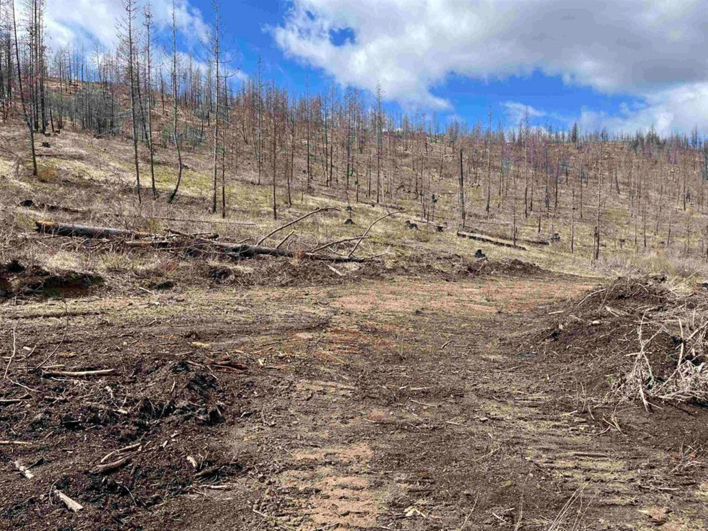 Lot 8 Rail Canyon Rd - Photo 5