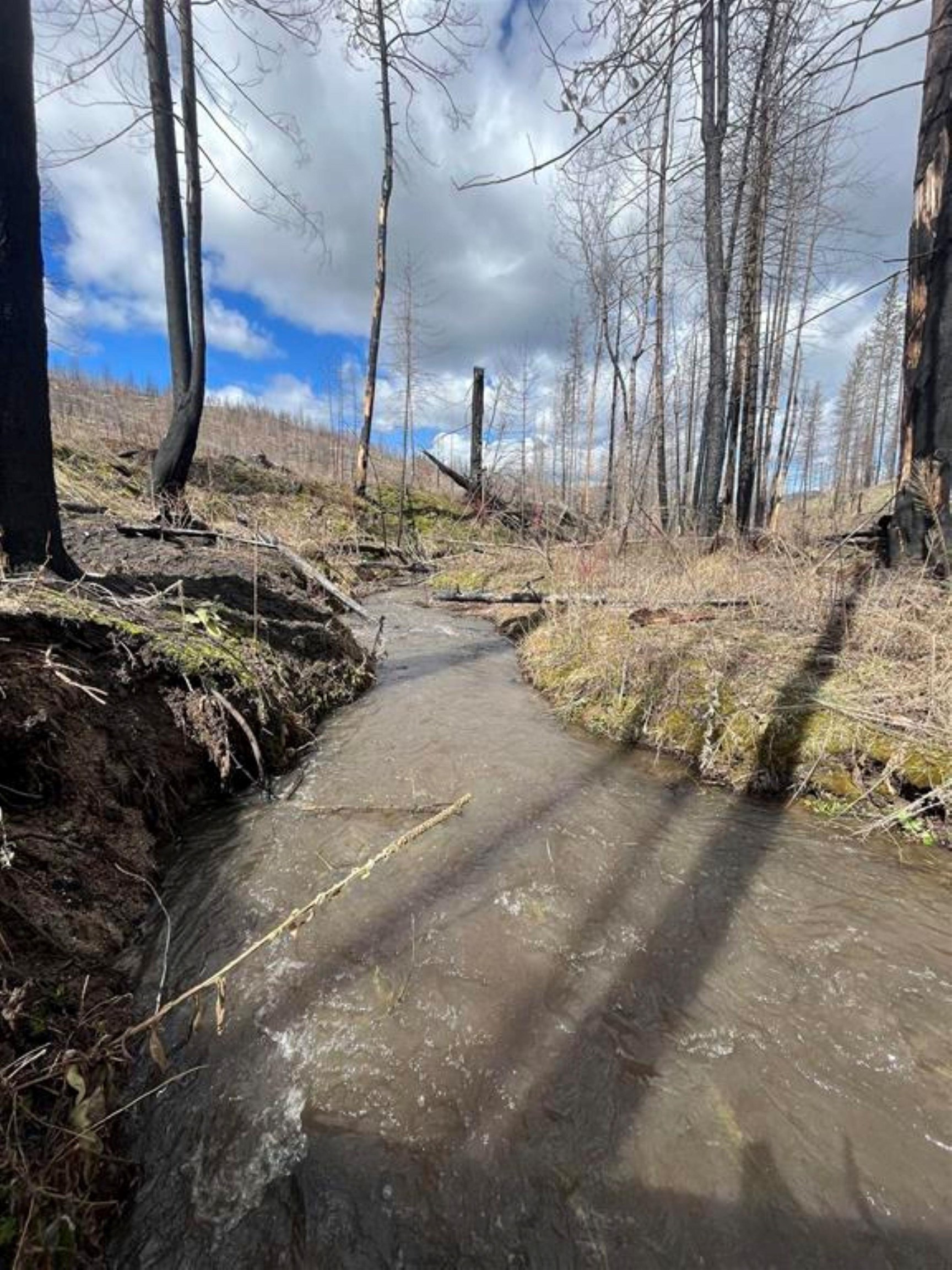 Lot 8 Rail Canyon Rd - Photo 6