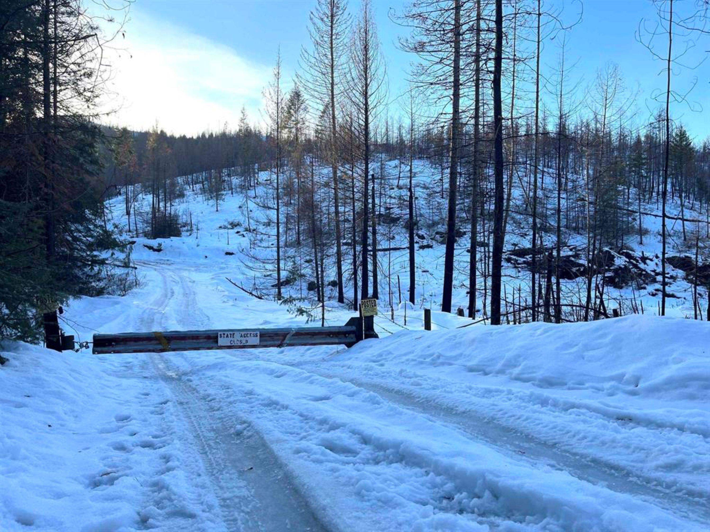 Lot 8 Rail Canyon Rd - Photo 12