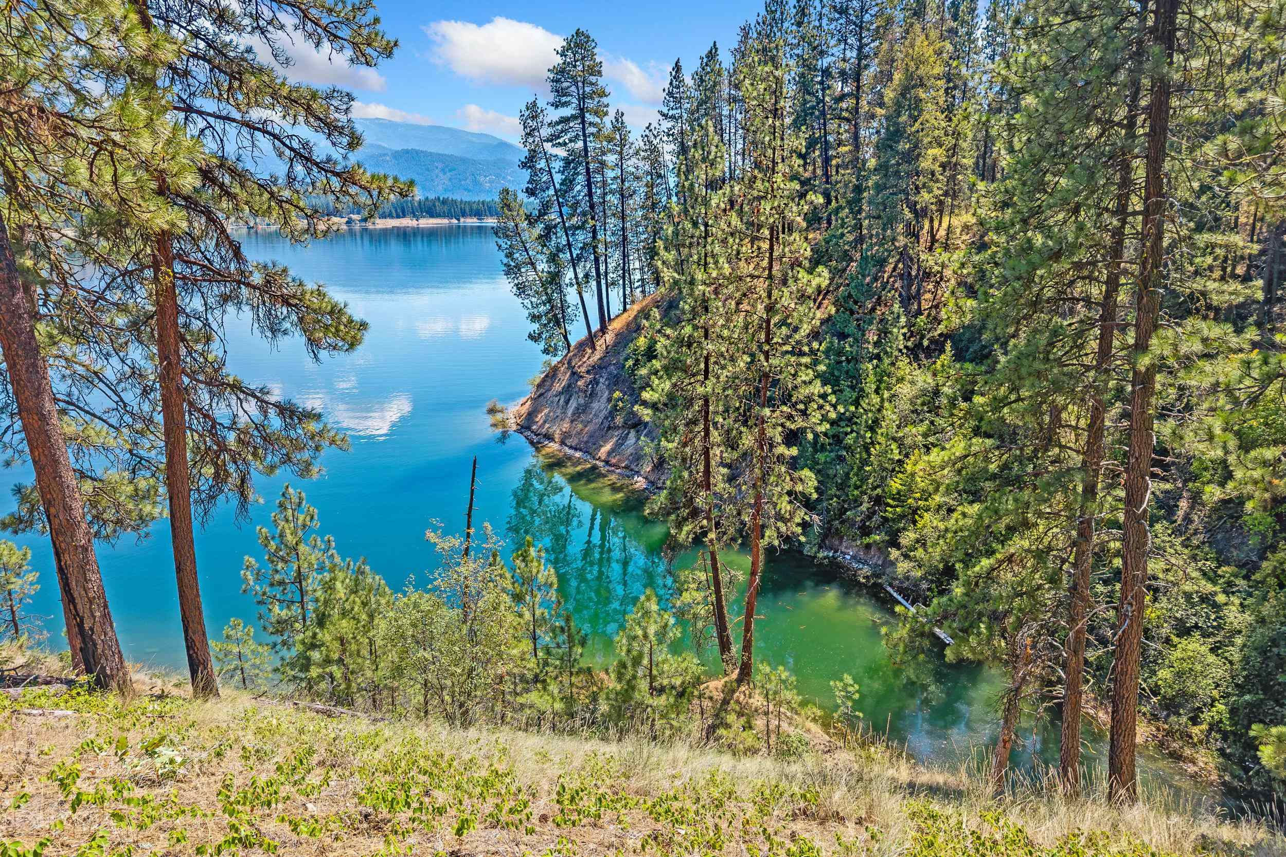 61 Columbia Dr - Photo 8